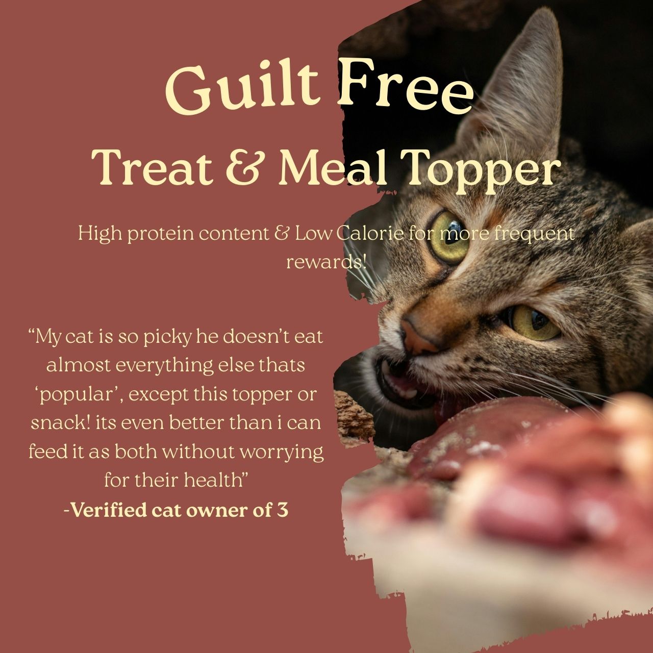 Farmers Treats Freeze Dried Salmon Bites 50g