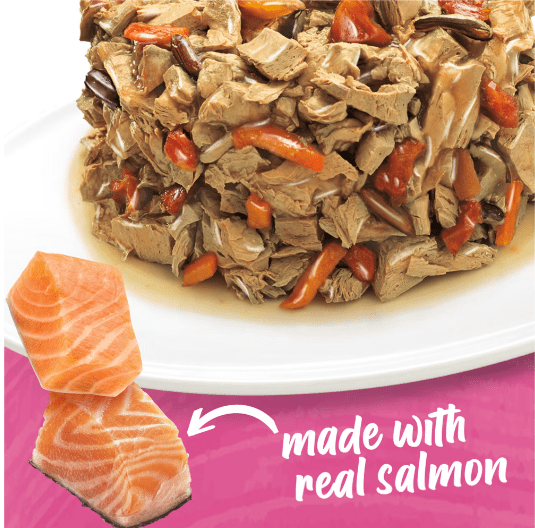 Beneful Salmon in gravy Dog wet food Incredibites 85g x 3DogsSuperpets Trading