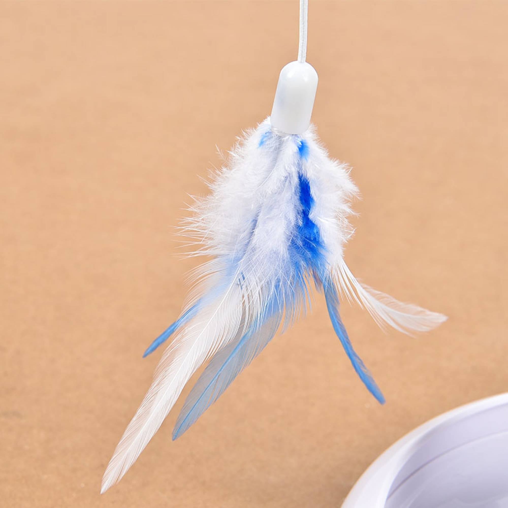EPSP LWS163022 Blue Swinging Cat ToySuperpets Trading