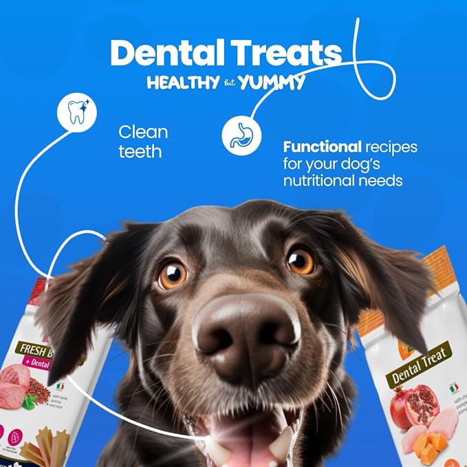 Farmina Dog Dental Treats Quinoa with Fresh Breath SupportDogsSuperpets Trading