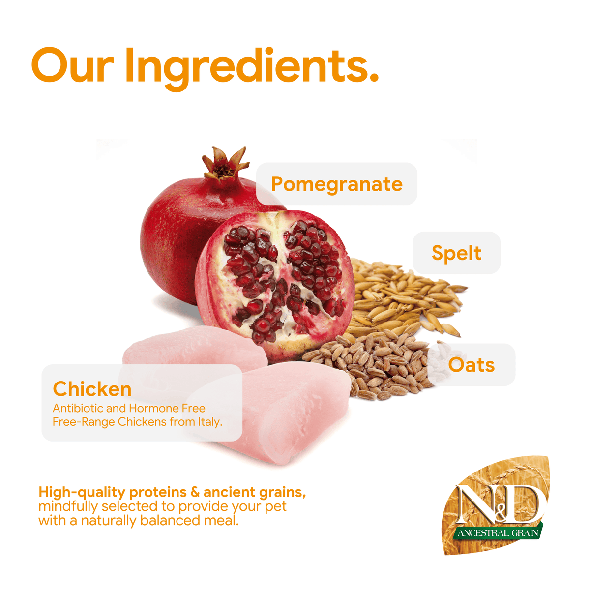 Farmina N&D Cat Adult Ancestral Grain - Chicken & PomegranateCatsSuperpets Trading