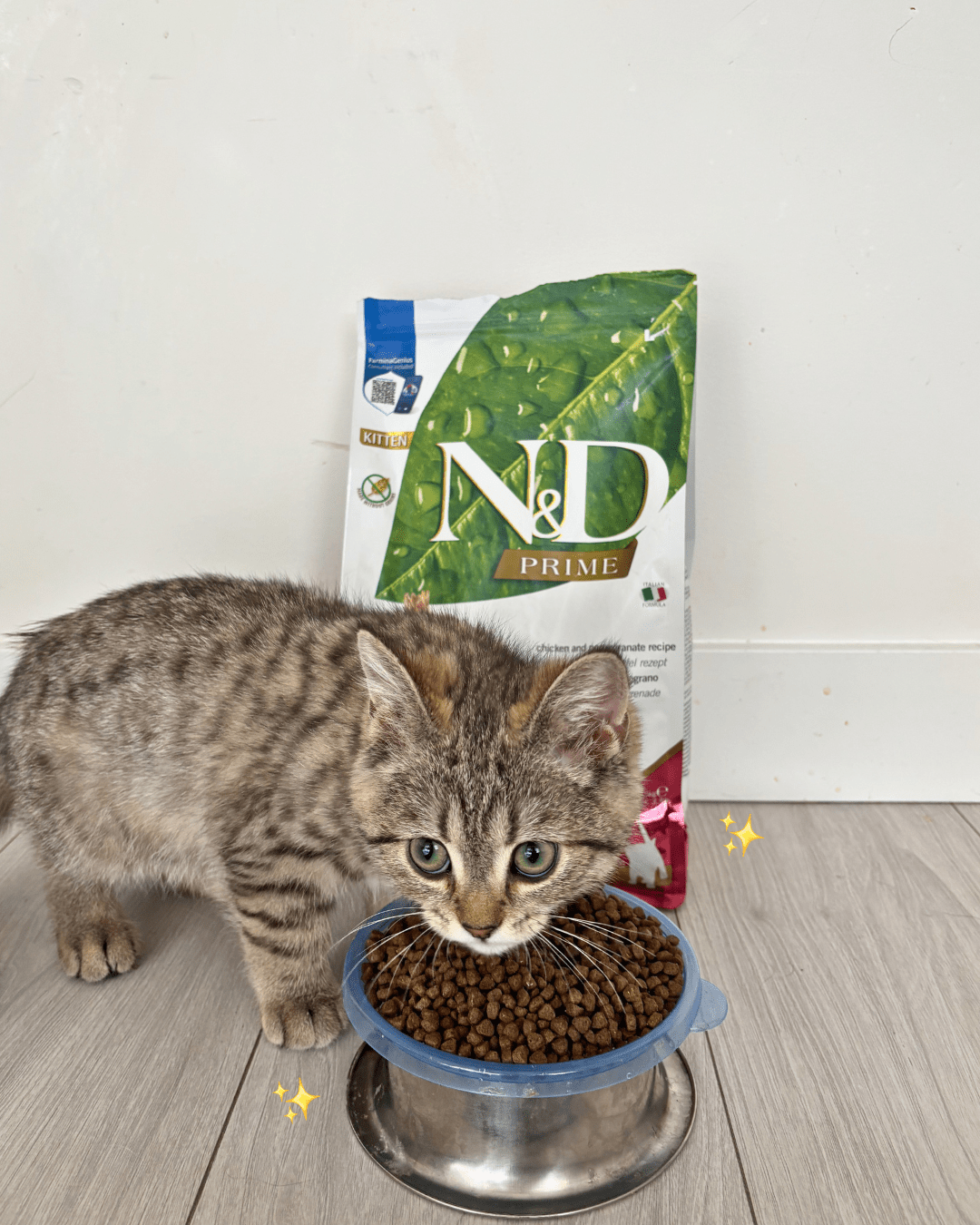 Farmina N&D Cat Adult Grain-Free - Chicken & PomegranateCatsSuperpets Trading