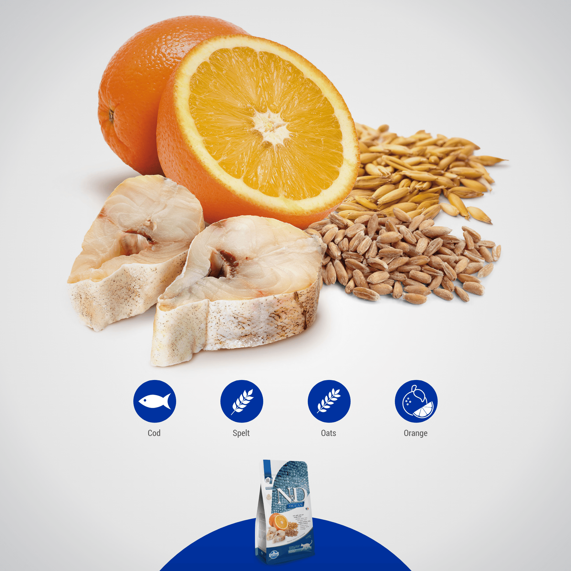 Farmina N&D Cat Adult Ocean Ancestral Grain - Codfish, Spelt, Oats & OrangeCatsSuperpets Trading
