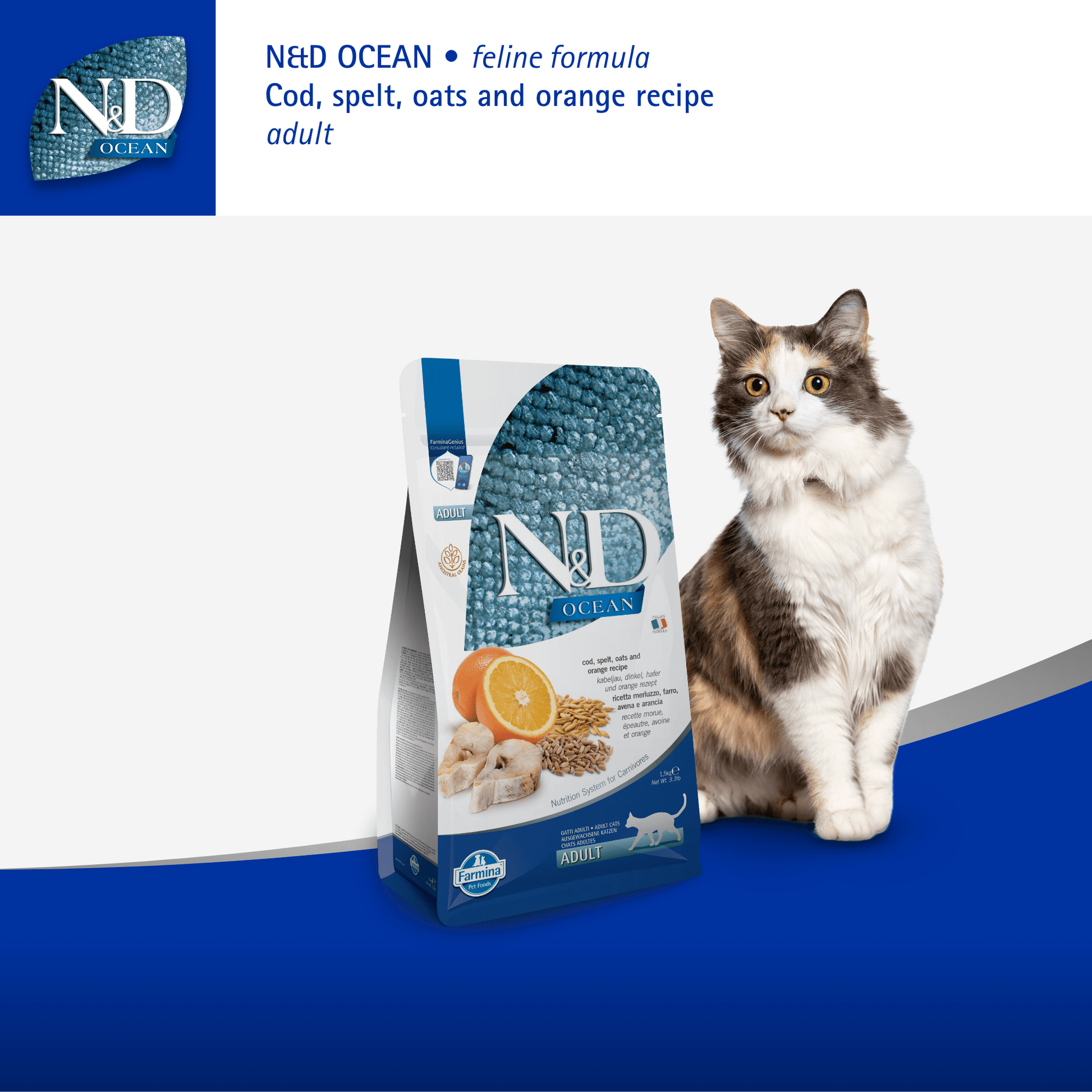 Farmina N&D Cat Adult Ocean Ancestral Grain - Codfish, Spelt, Oats & OrangeCatsSuperpets Trading
