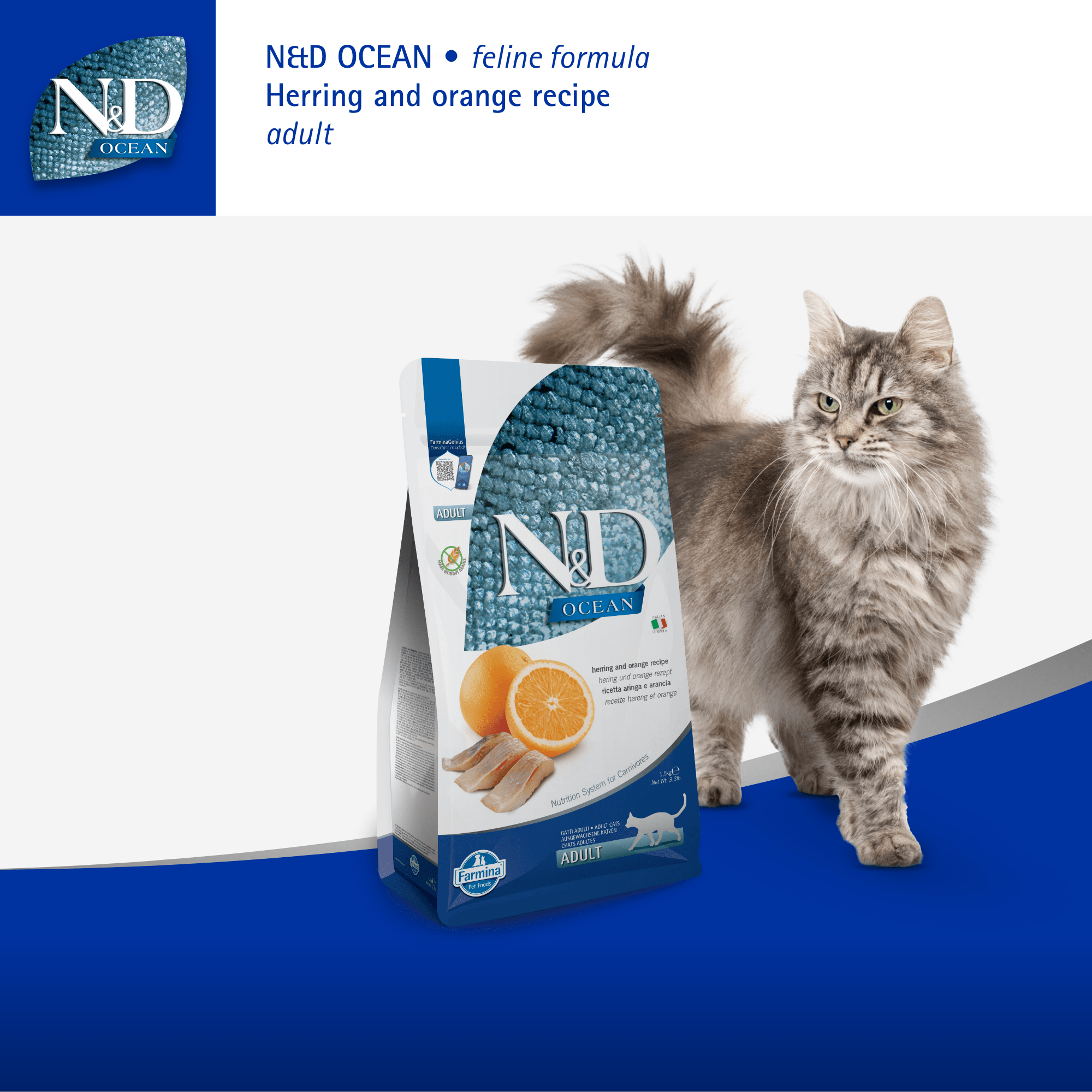 Farmina N&D Cat Adult Ocean Grain-Free - Herring & OrangeCatsSuperpets Trading