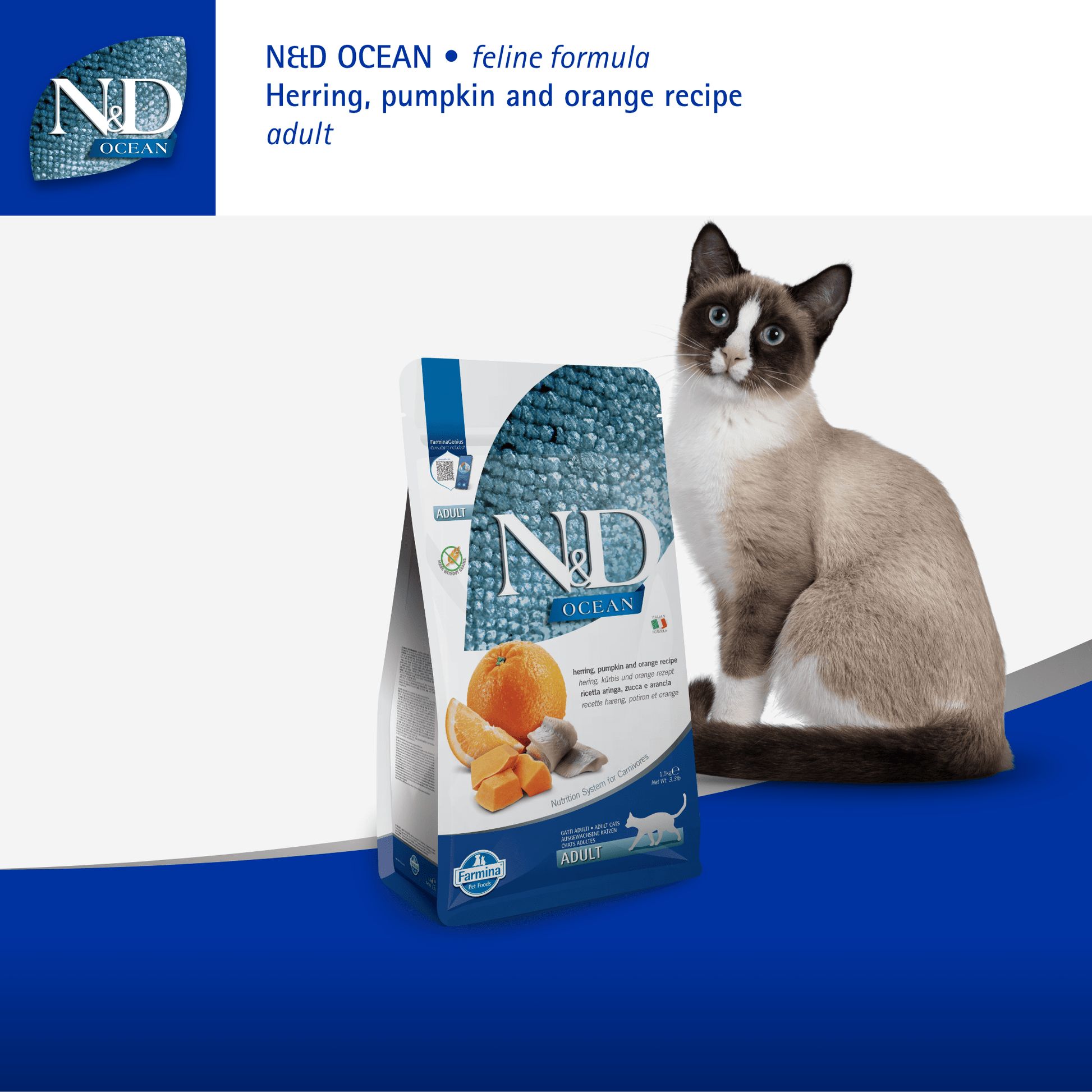 Farmina N&D Cat Adult Ocean - Herring, Pumpkin & OrangeCatsSuperpets Trading