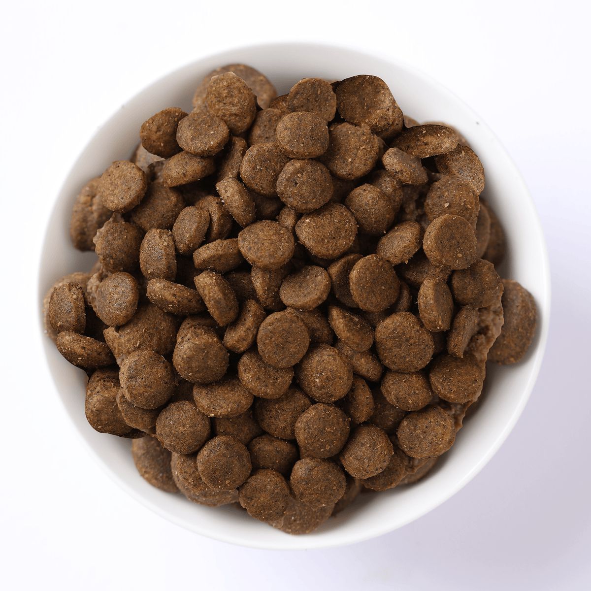 Farmina N&D Cat Kitten Grain-Free - Chicken & PomegranateCatsSuperpets Trading