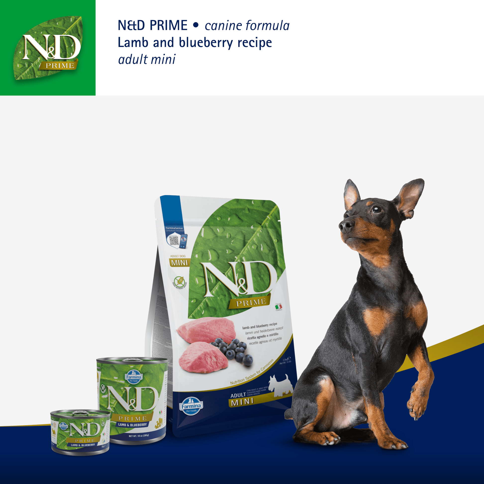 Farmina N&D PRIME Grain Free Dog Food Adult Mini - Lamb & BlueberryDogsSuperpets Trading