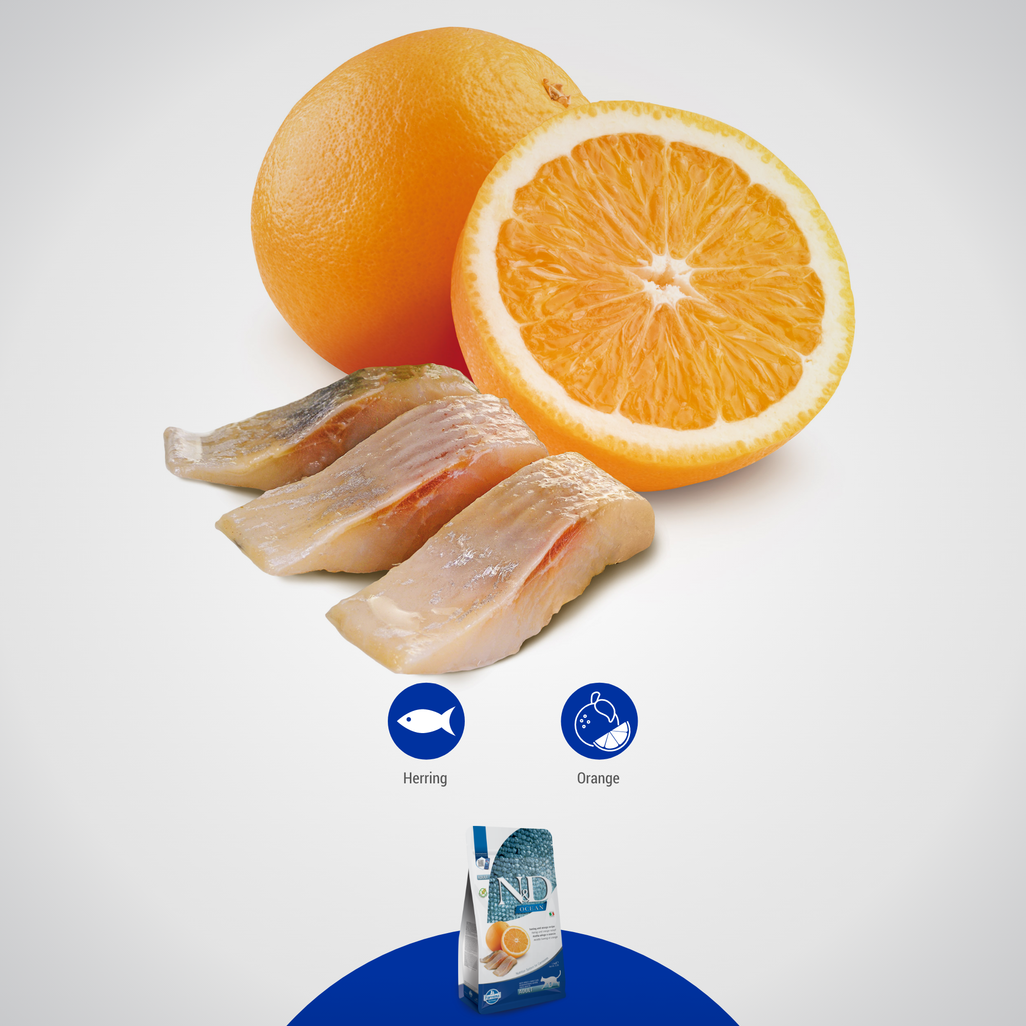 Farmina N&D Cat Adult Ocean Grain-Free  - Herring & Orange