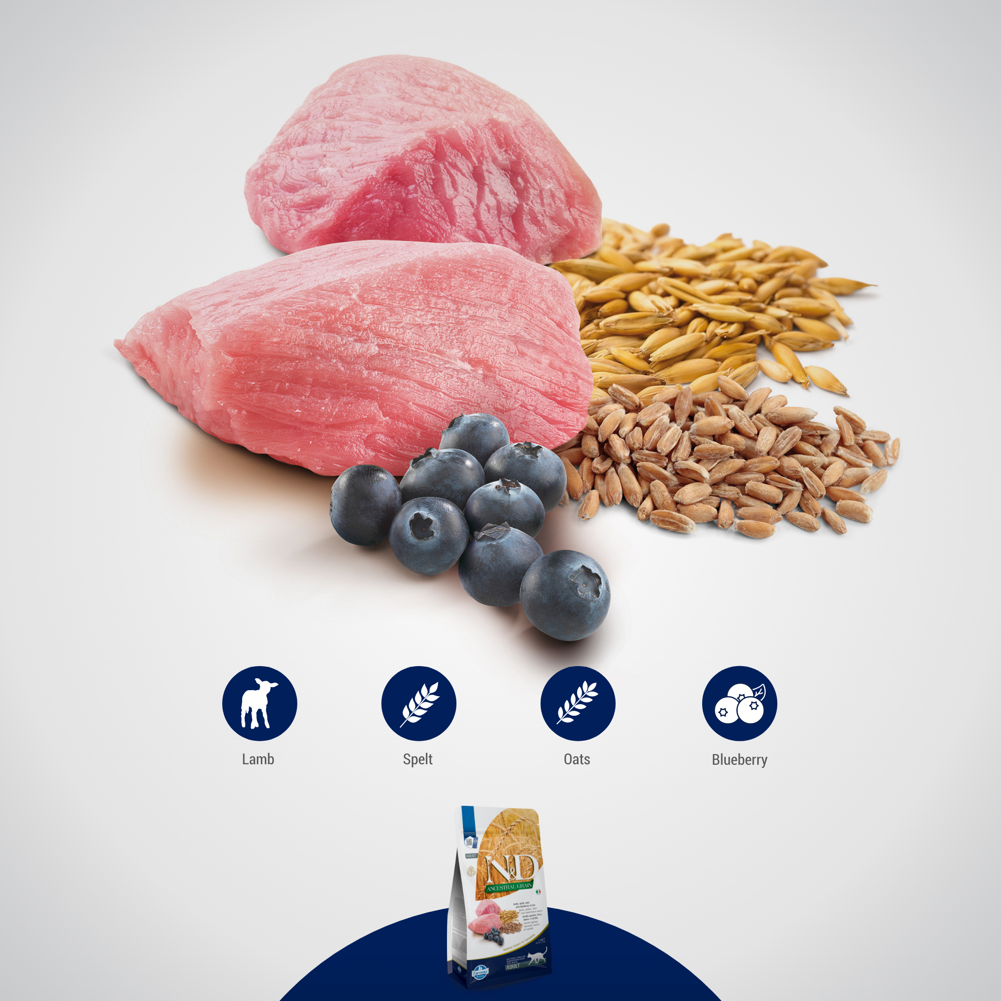 Farmina N&D Ancestral Grain Cat Adult - Lamb & Blueberry