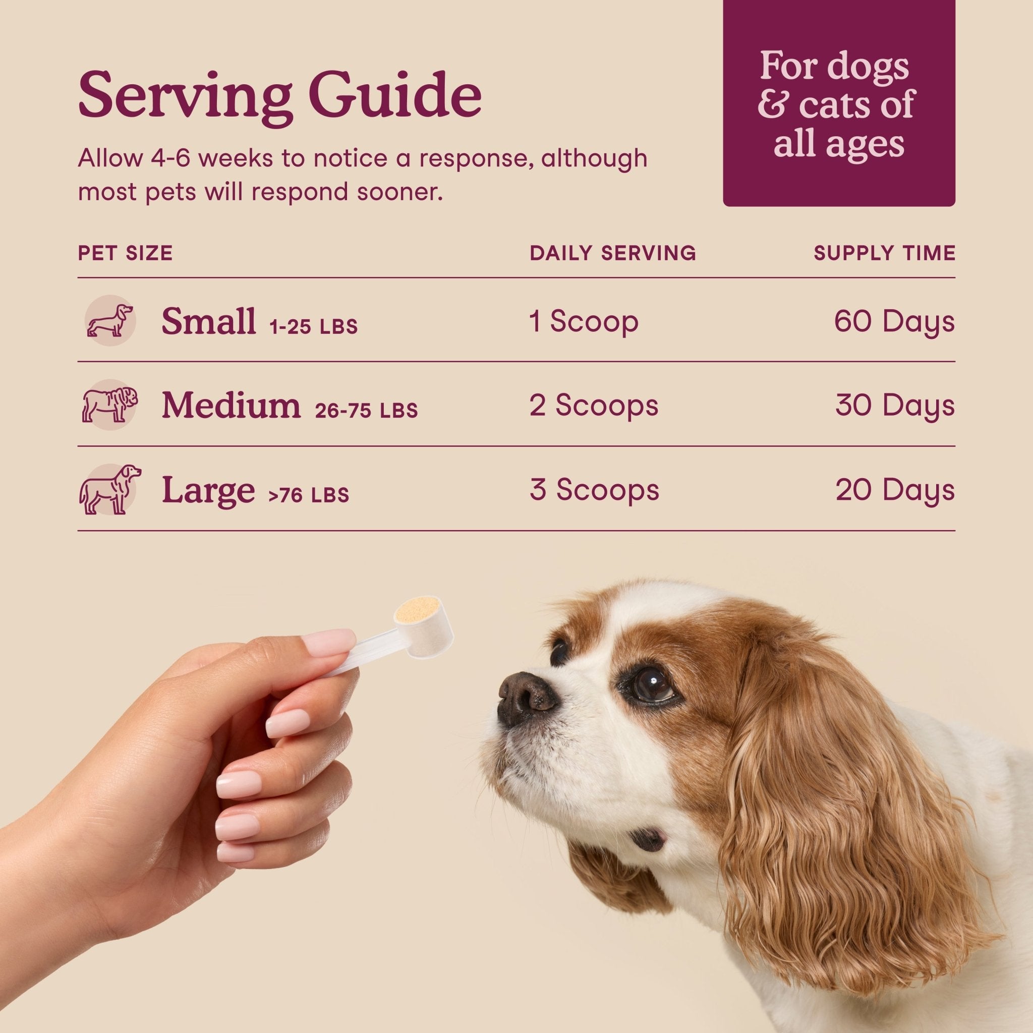 Fera Bladder Support Supplements 60 serving for dogs and catsCatsSuperpets Trading