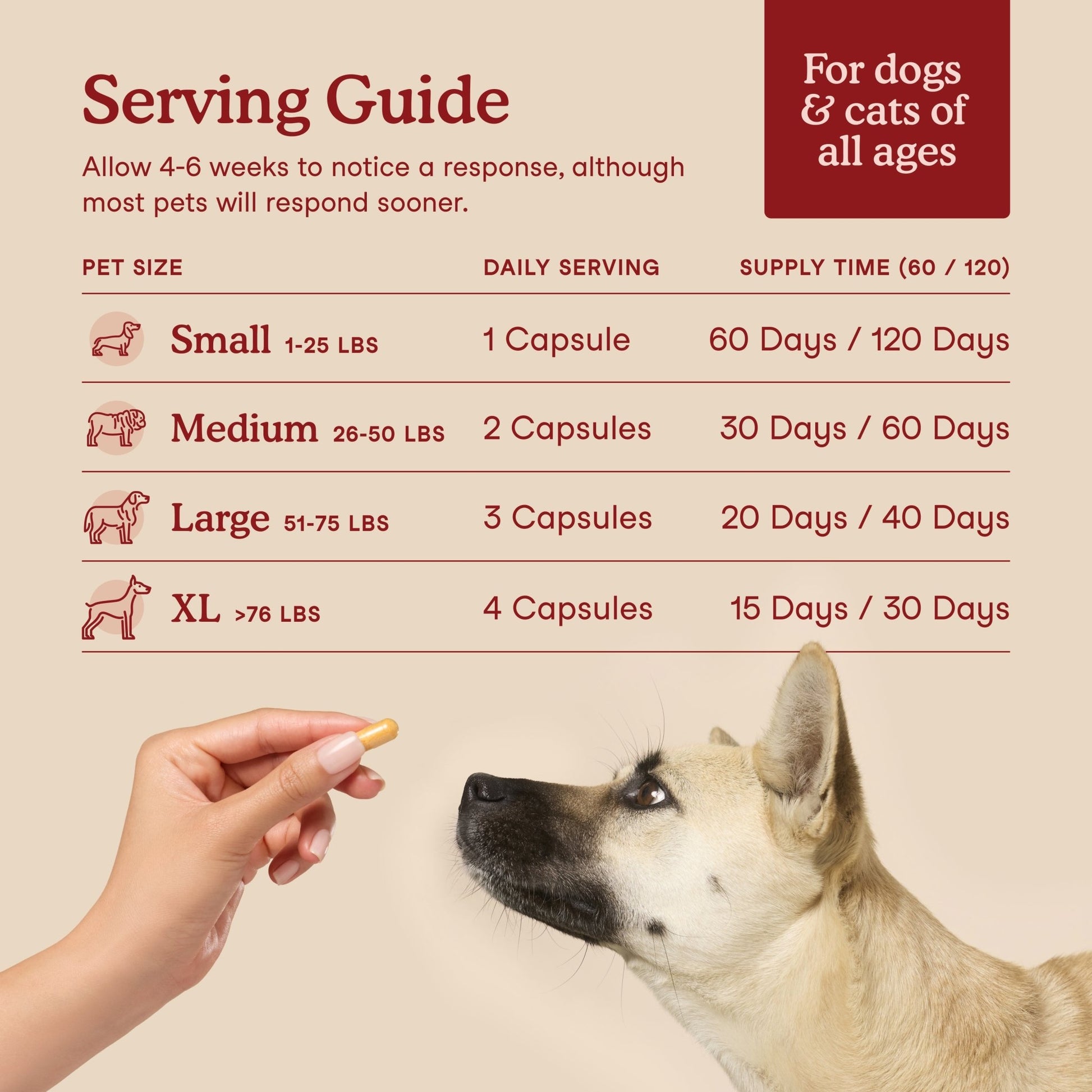Fera Cardiac Support Supplements 60 capsules for dogs and catsCatsSuperpets Trading