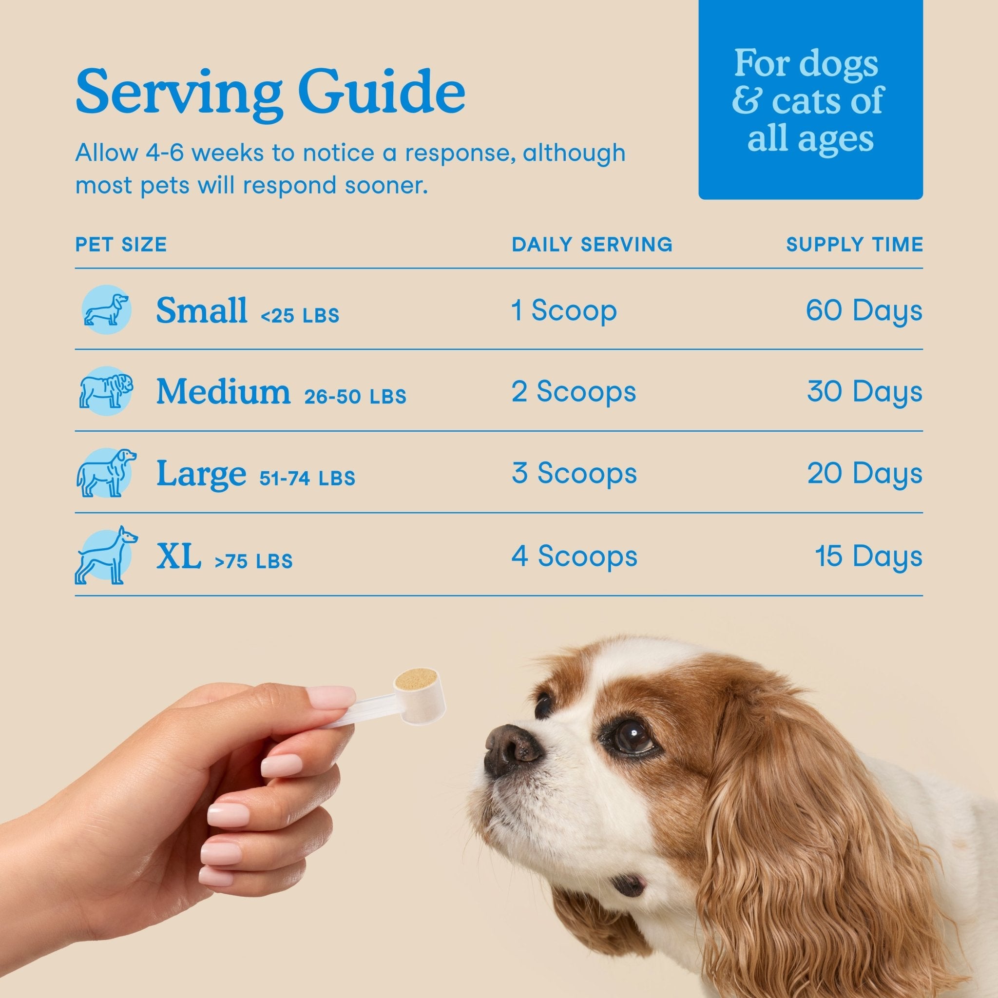 Fera Dental Support Supplements 60 serving For dogs and catsCatsSuperpets Trading