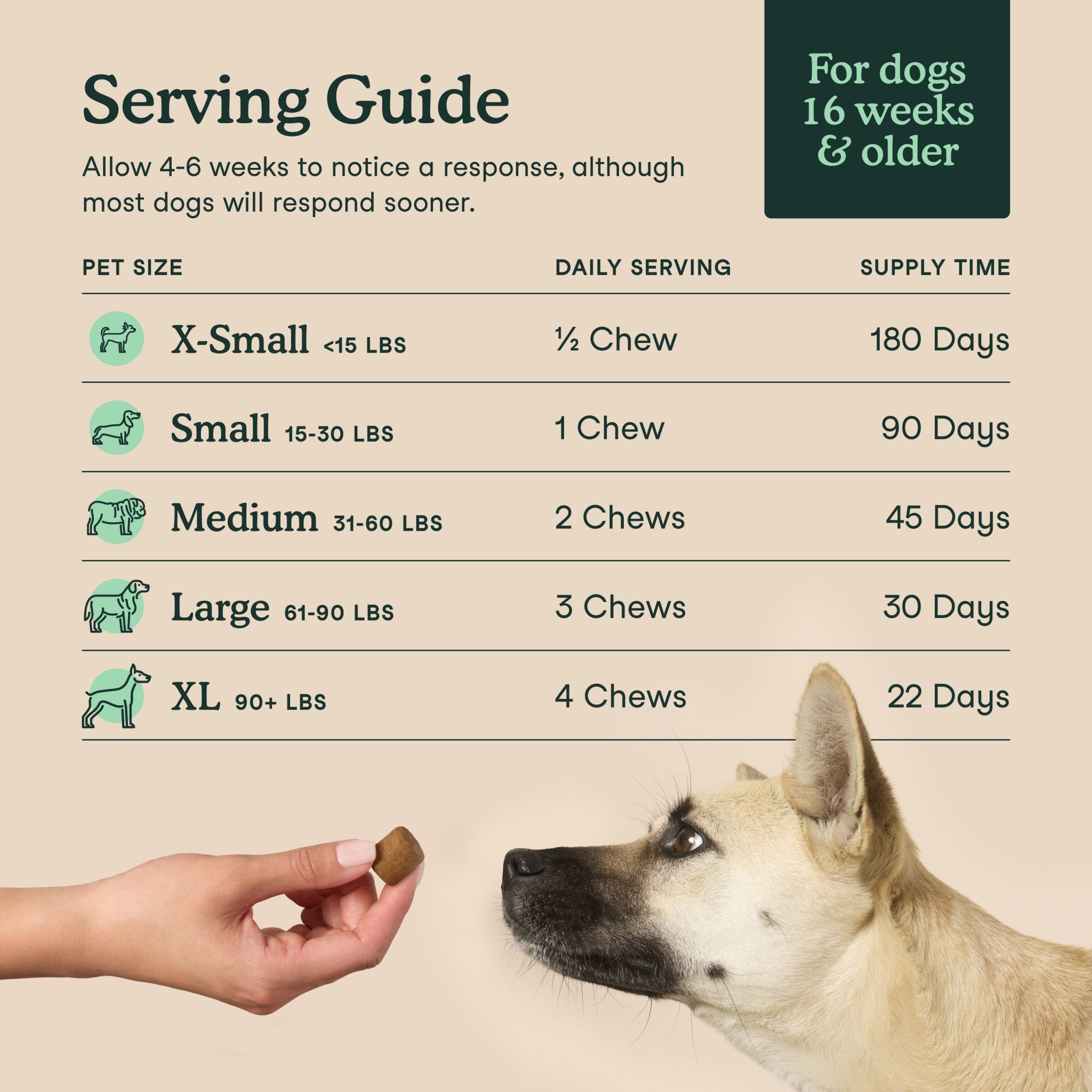 Fera Hip + Joint Soft Chews Supplements 30 chewsDogsSuperpets Trading