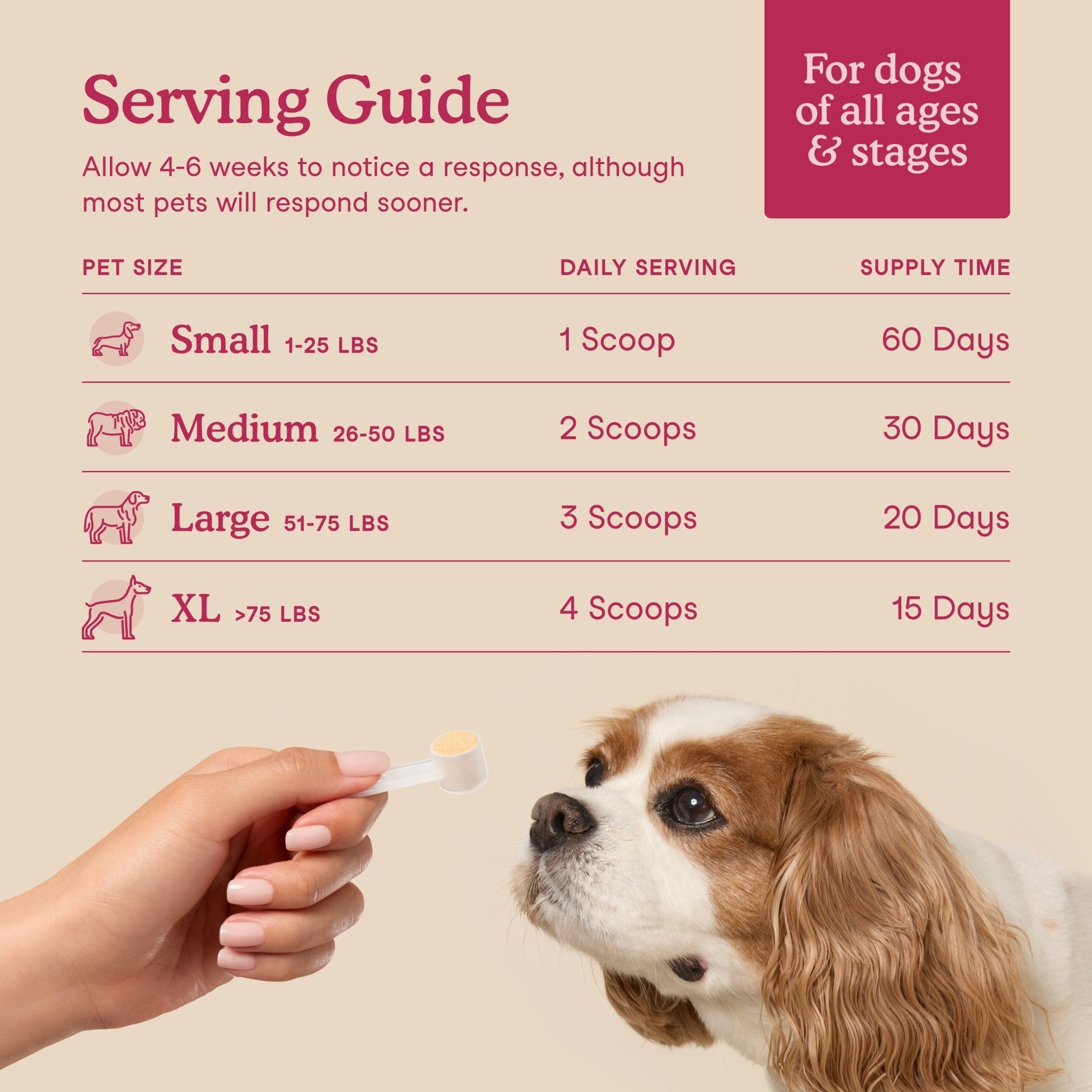 Fera Kidney Support Supplements 60 serving For DogsDogsSuperpets Trading