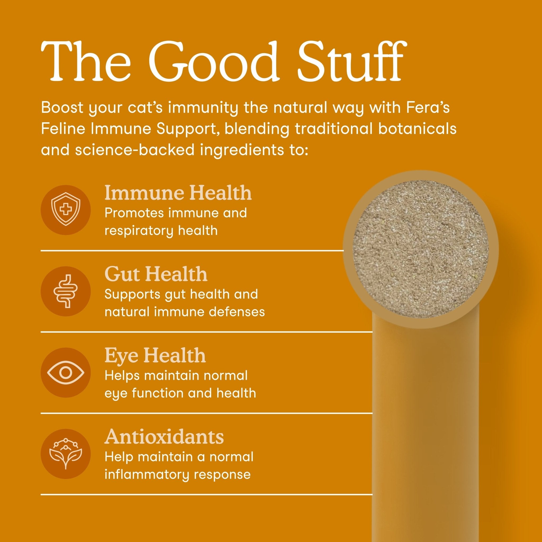Fera Lysine Immune support Supplements 60 serving For catsCatsSuperpets Trading