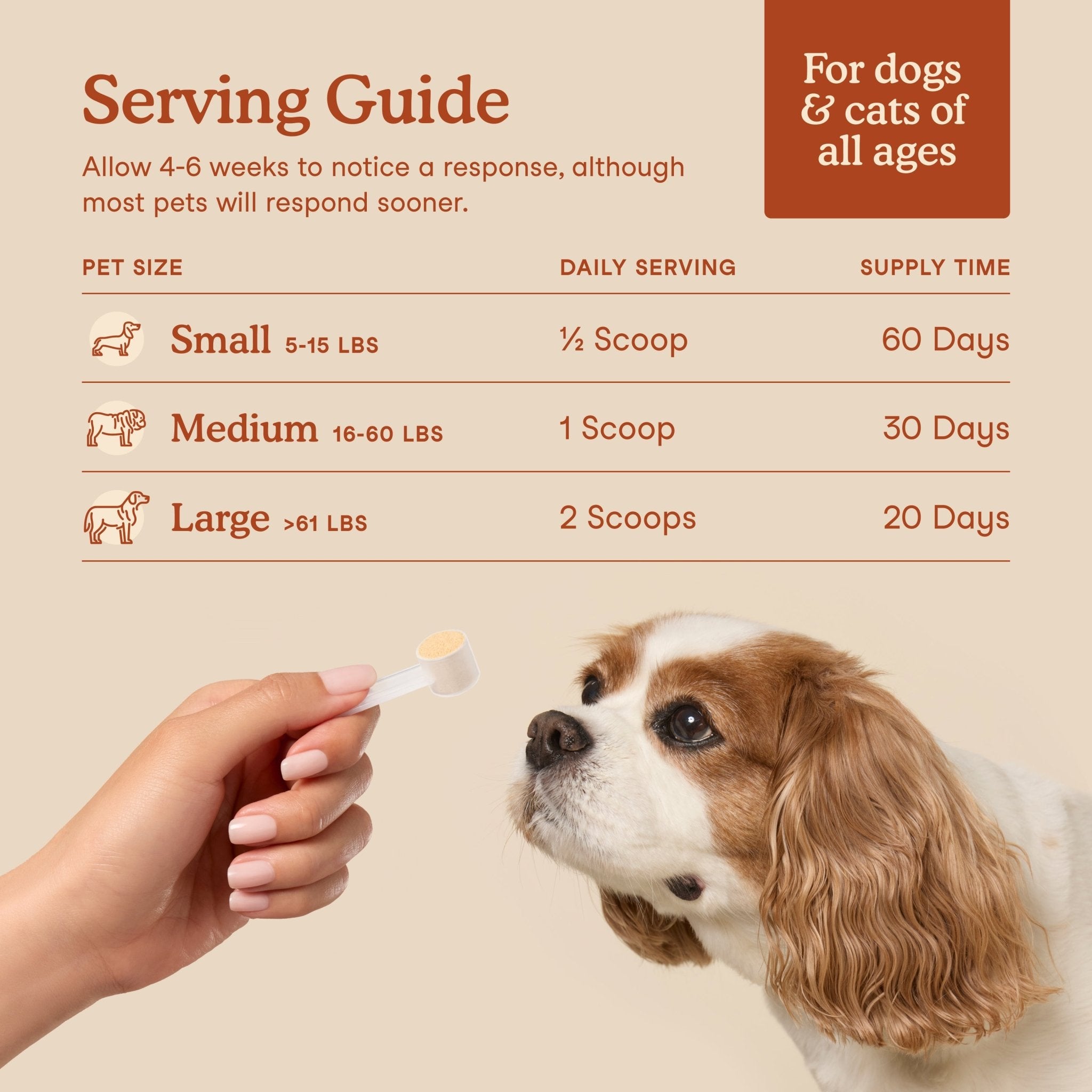 Fera Probiotics Soft Chews Supplements 90 chewsDogsSuperpets Trading