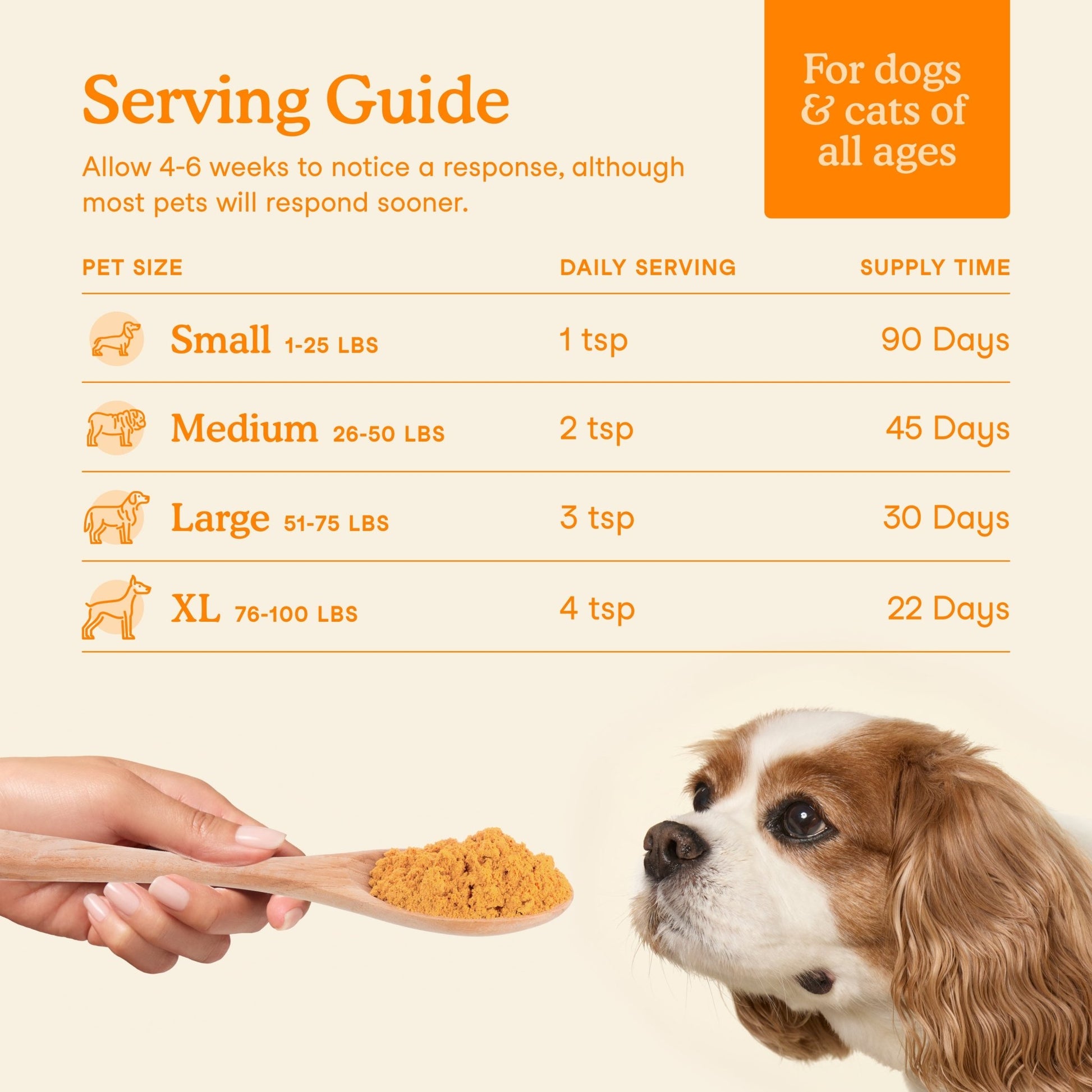 Fera Pumpkin Digestion Fiber Supplements 90 serving for dogs and catsCatsSuperpets Trading