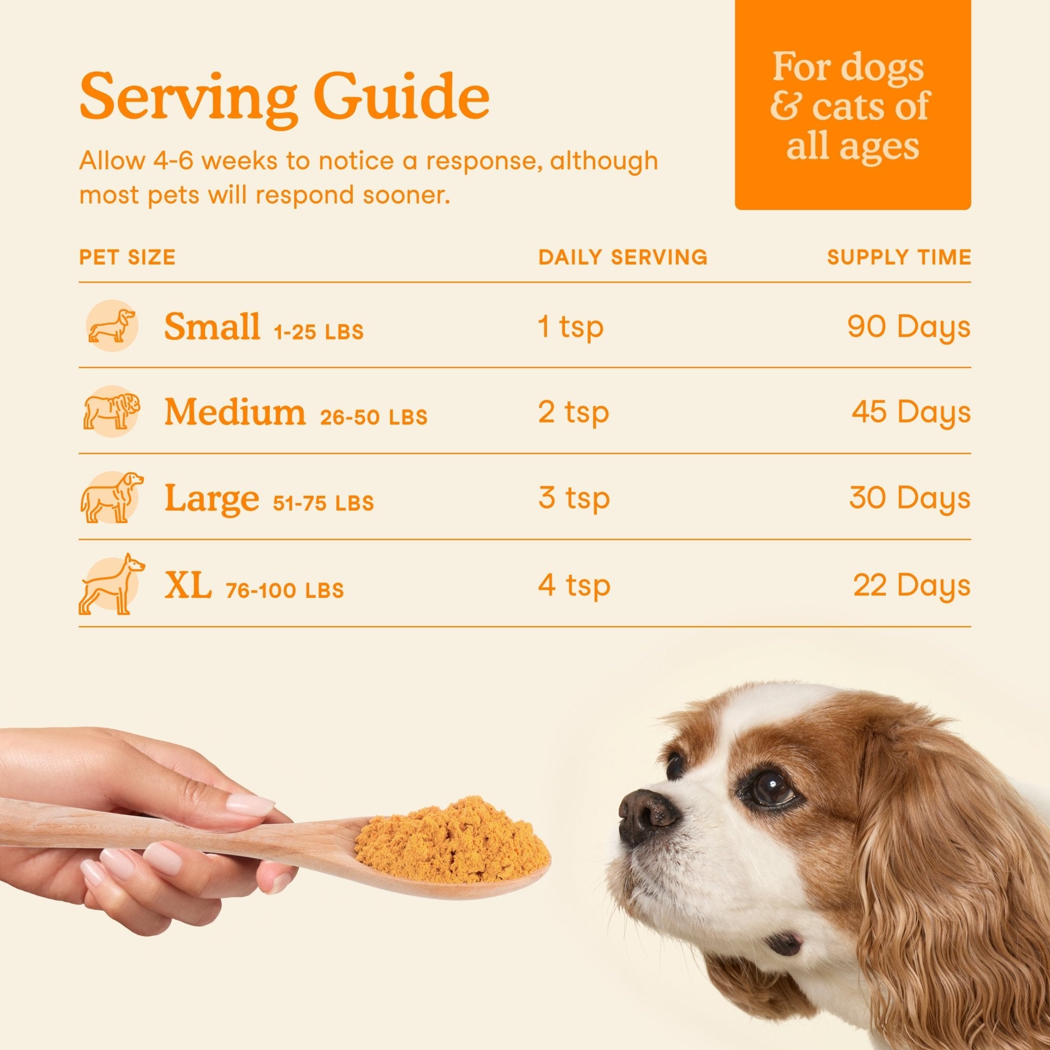 Fera Pumpkin Digestion Fiber Supplements 90 serving for dogs and catsCatsSuperpets Trading