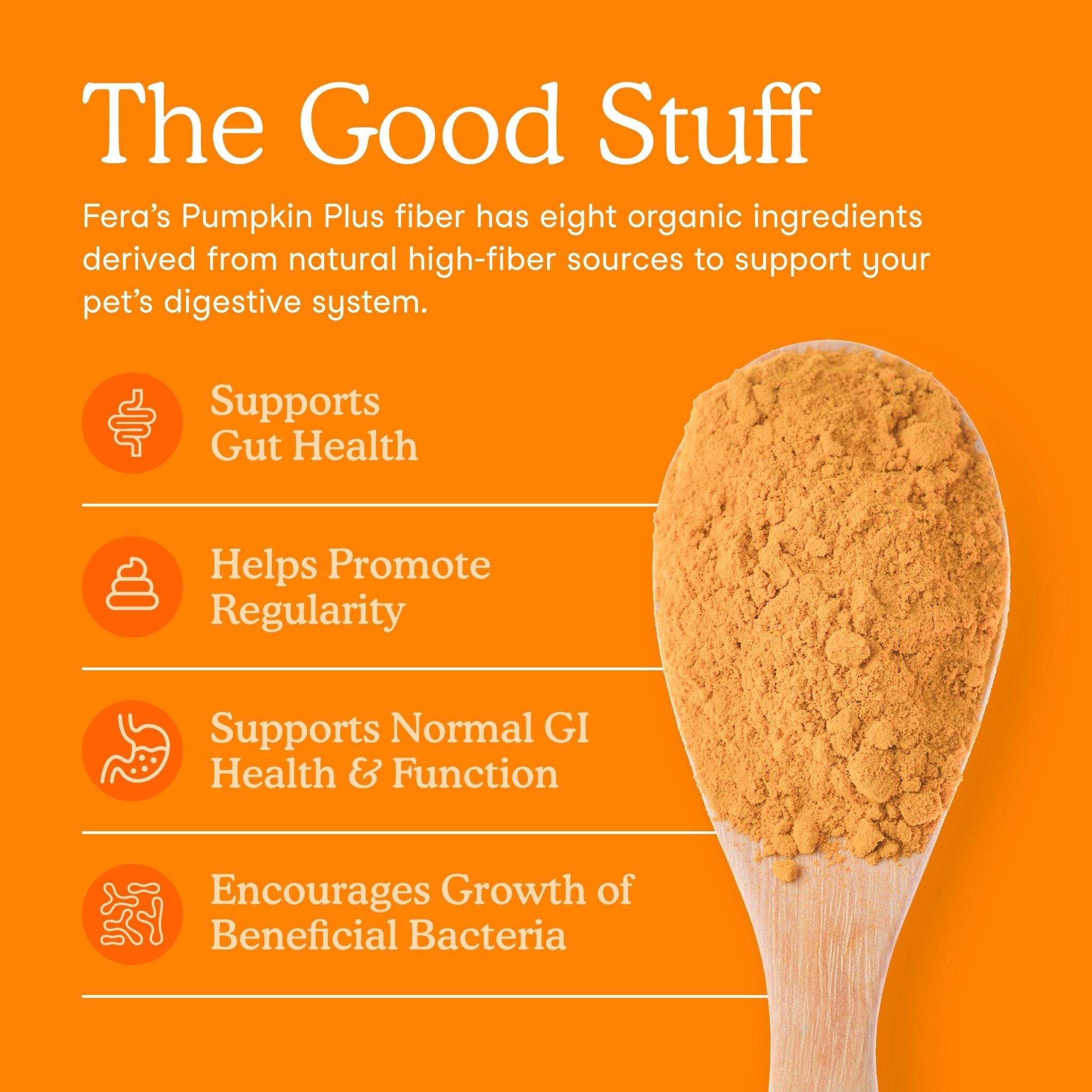 Fera Pumpkin Digestion Fiber Supplements 90 serving for dogs and catsCatsSuperpets Trading