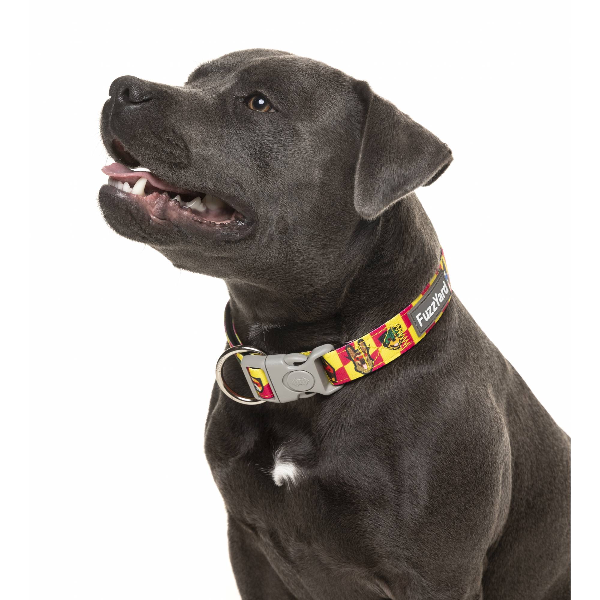 FuzzYard Dog Collar - Doggoforce (M)Superpets Trading