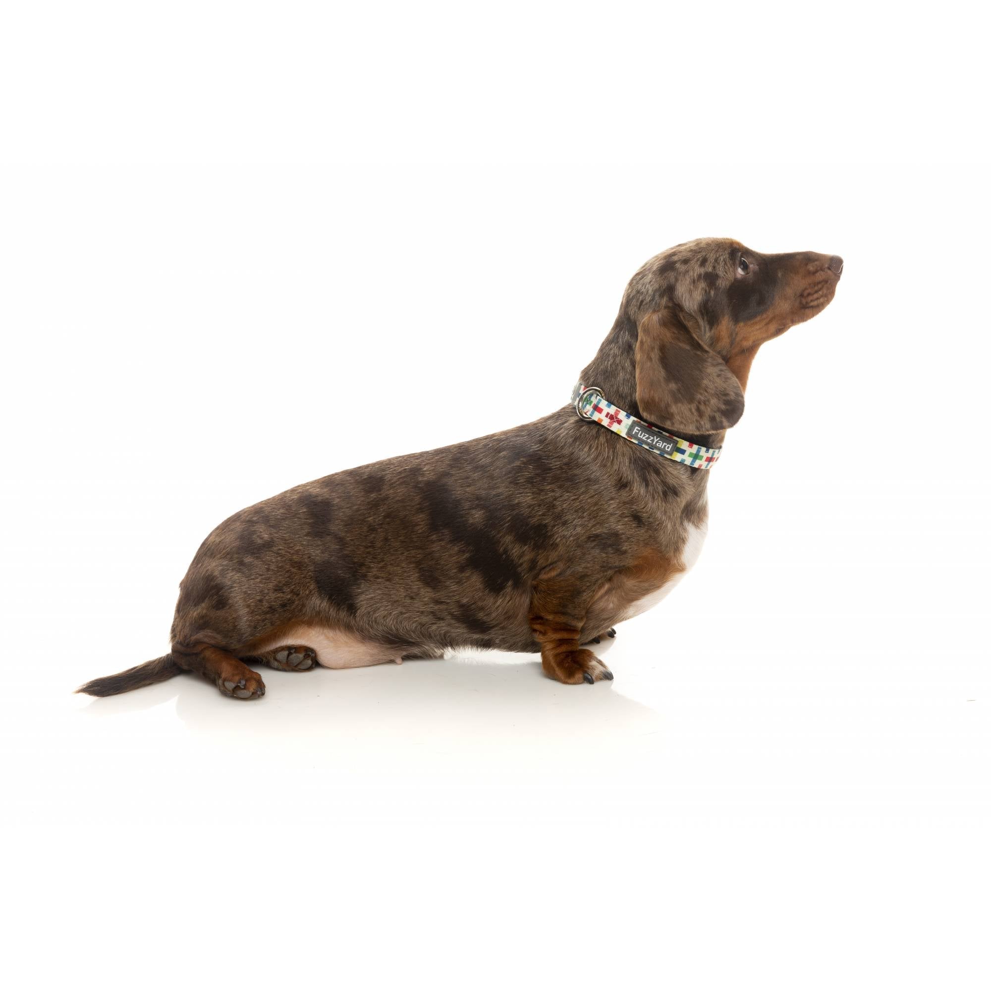 FuzzYard Dog Collar - Jenga (M)DogsSuperpets Trading