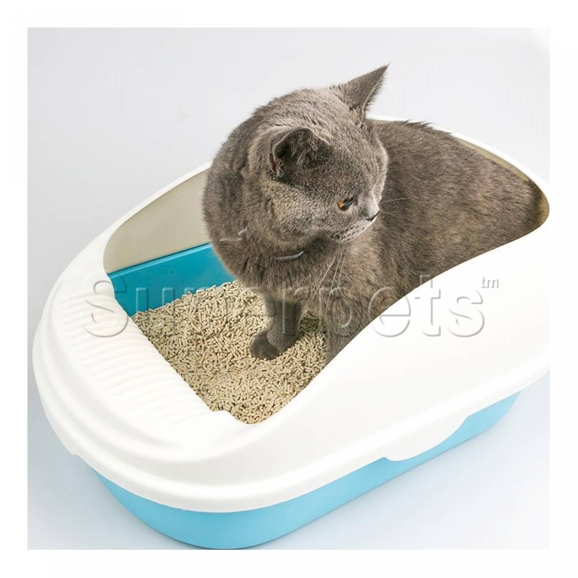 JCB Litter Box MSP004 BlueSuperpets Trading