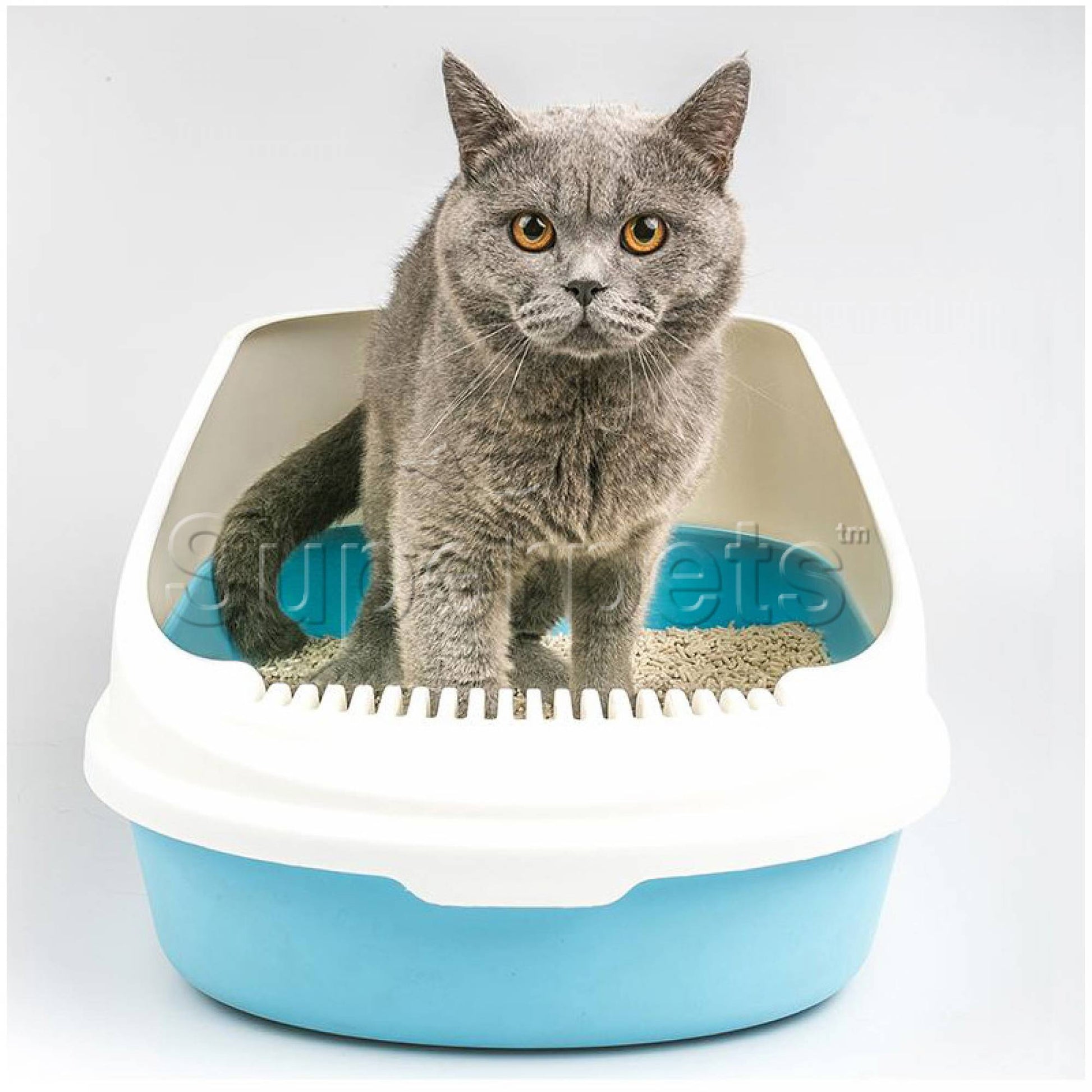 JCB Litter Box MSP004 BlueSuperpets Trading
