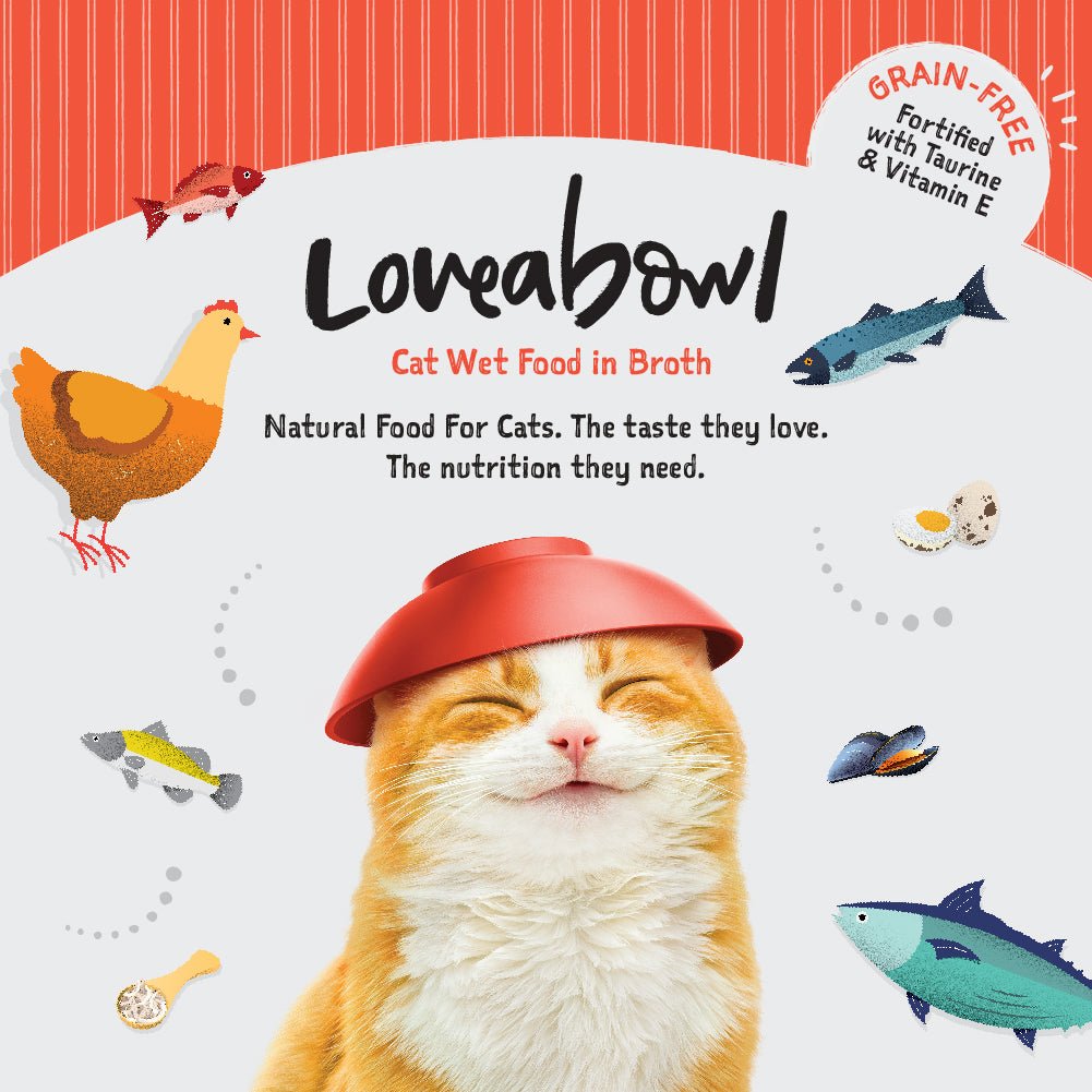 Loveabowl Tuna Ribbons in broth with Barramundi 70gCatsSuperpets Trading