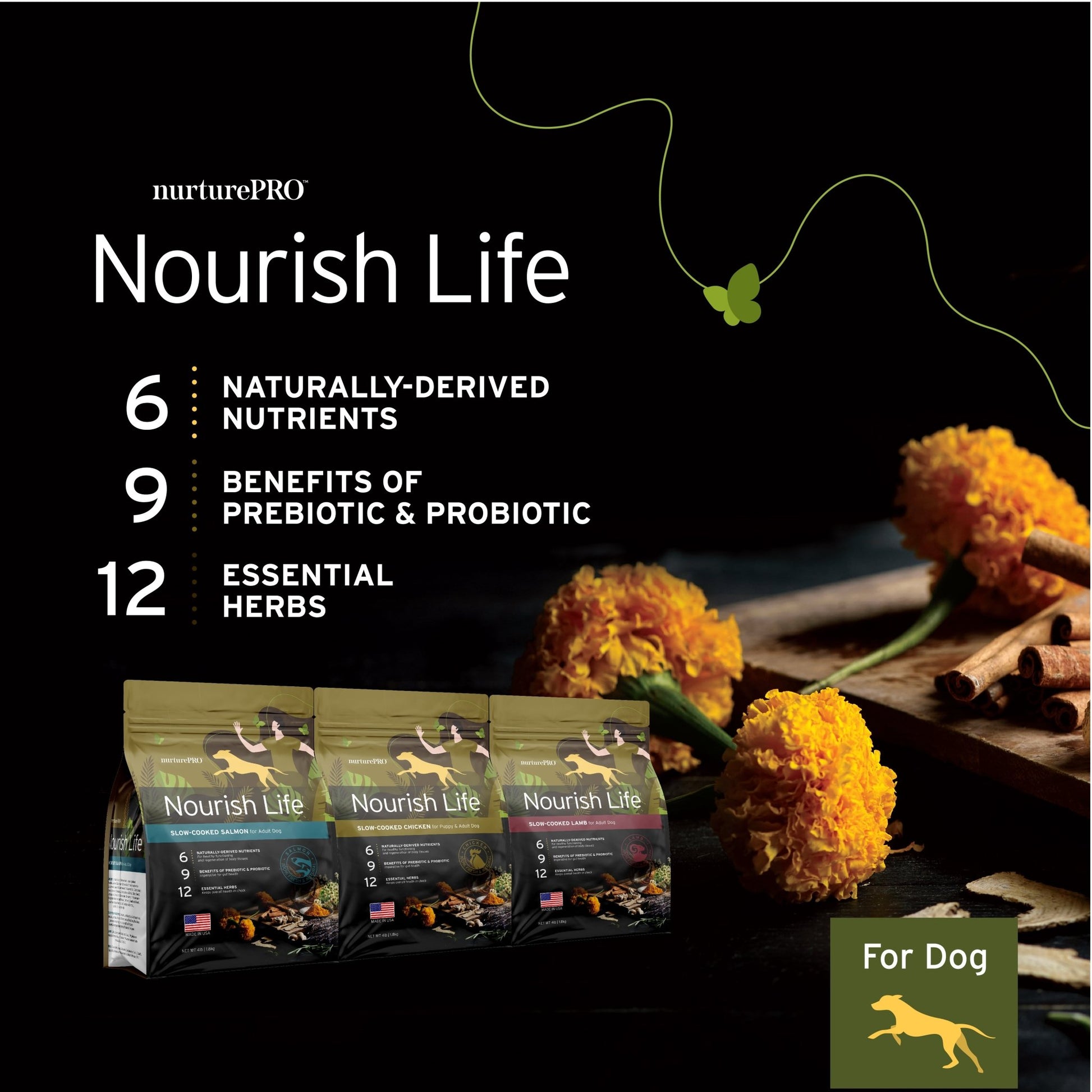 Nurture Pro Nourish Life Chicken Puppy & Adult Dry Dog FoodDogsSuperpets Trading
