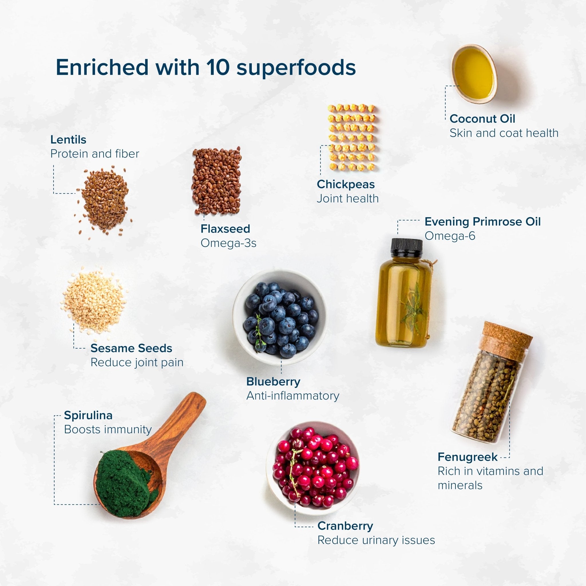 Nurture Pro Nourish Life Chicken & Turkey Recipe Grain-Free Kitten Dry Cat FoodCatsSuperpets Trading