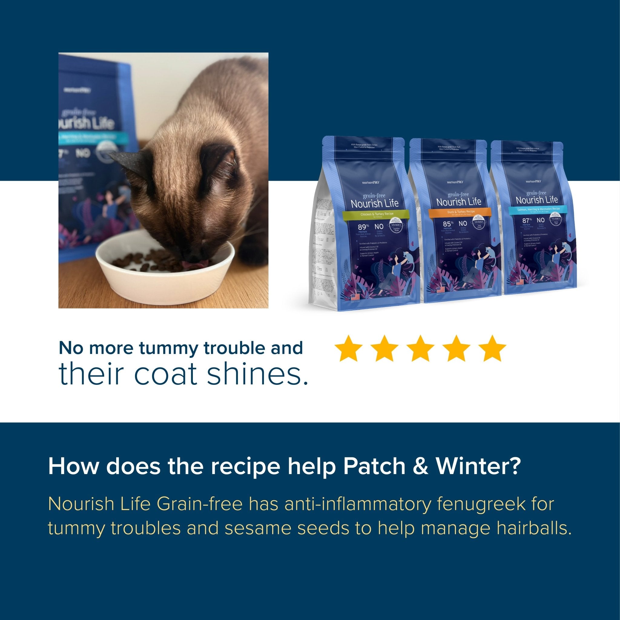 Nurture Pro Nourish Life Chicken & Turkey Recipe Grain-Free Kitten Dry Cat FoodCatsSuperpets Trading