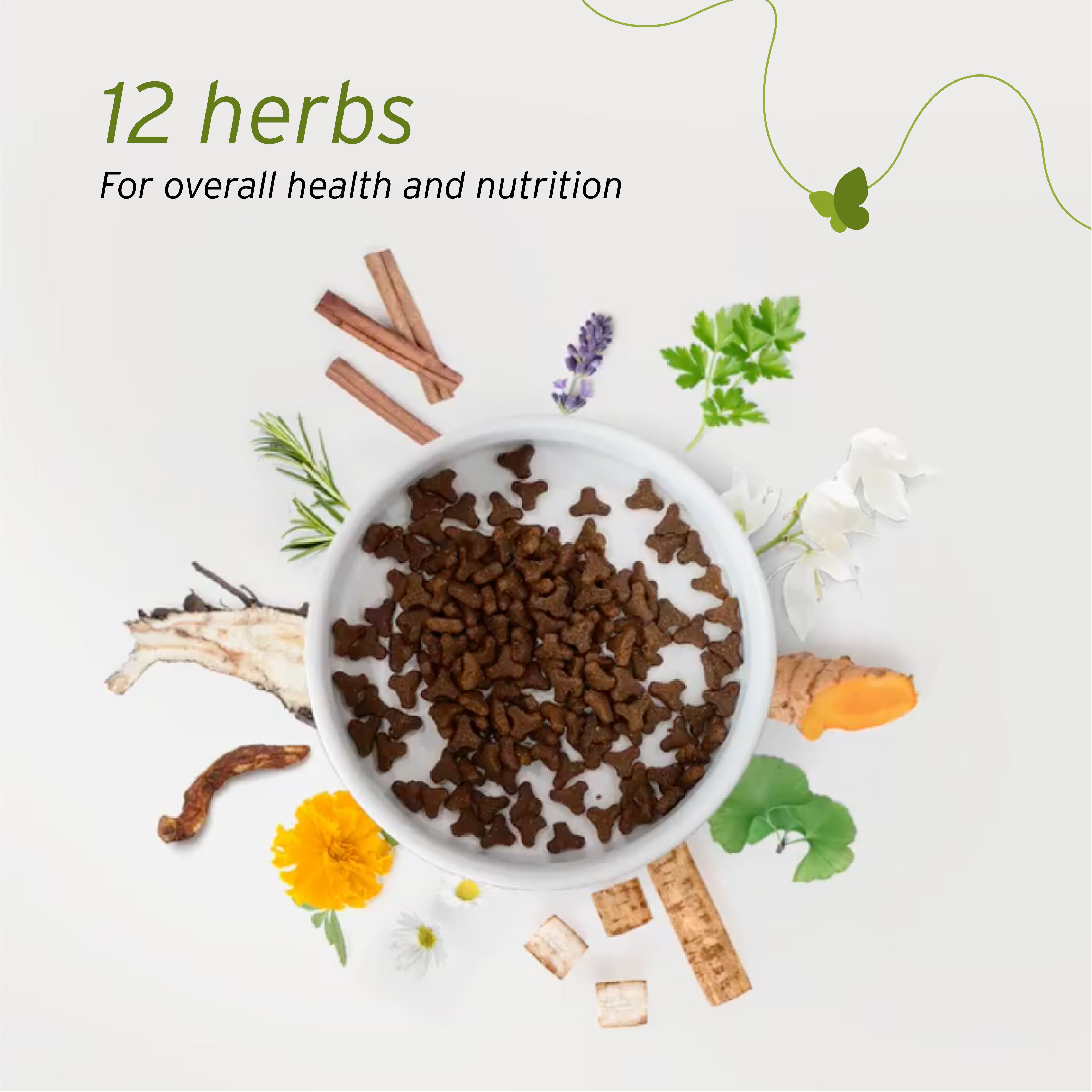 Nurture Pro Nourish Life Chicken Puppy & Adult Dry Dog Food