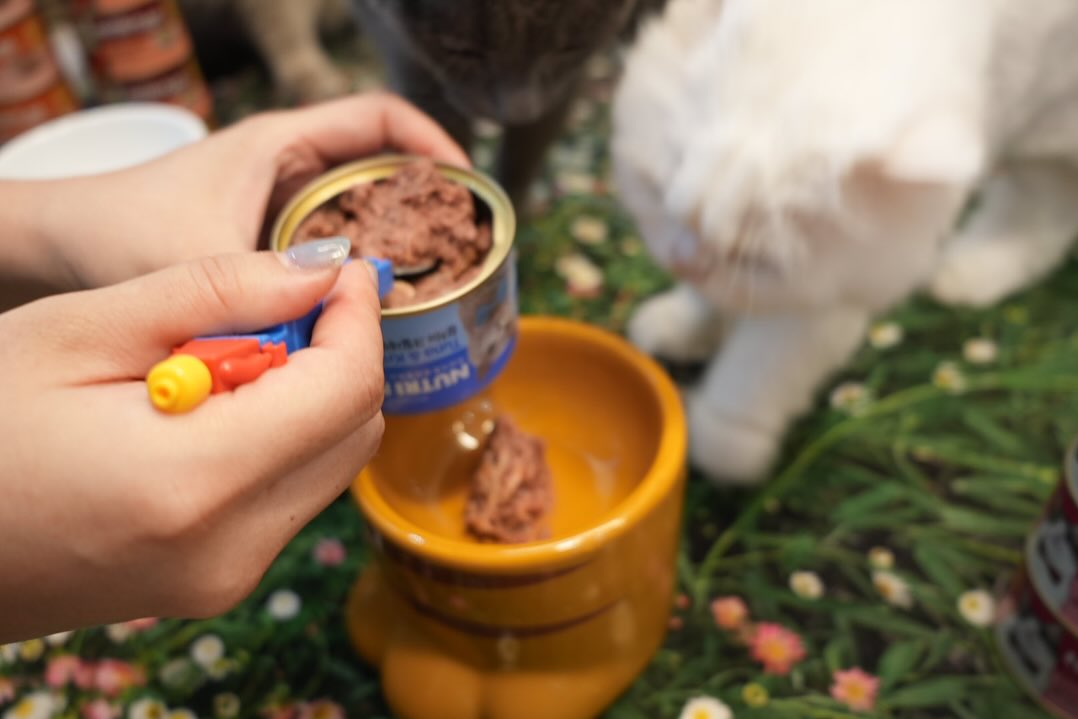 NUTRIPLAN BALANCED PREMIUM CAT FOOD TUNA & Mackeral 160GCatsSuperpets Trading