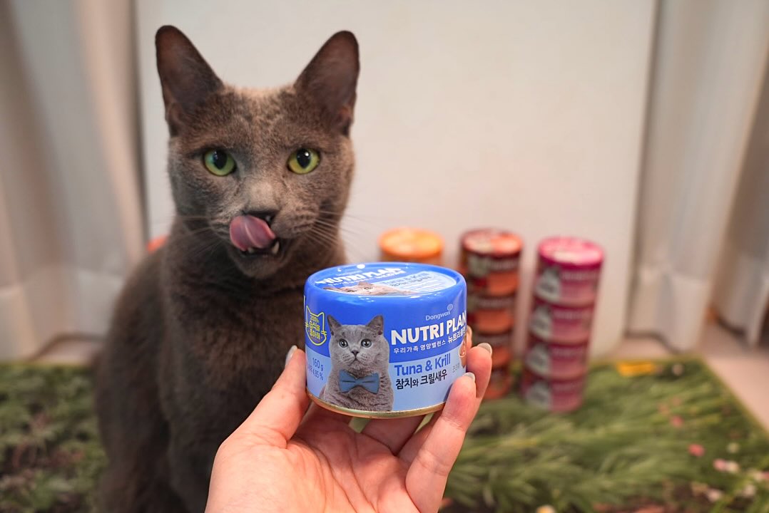 NUTRIPLAN BALANCED PREMIUM CAT FOOD TUNA & Mackeral 160GCatsSuperpets Trading