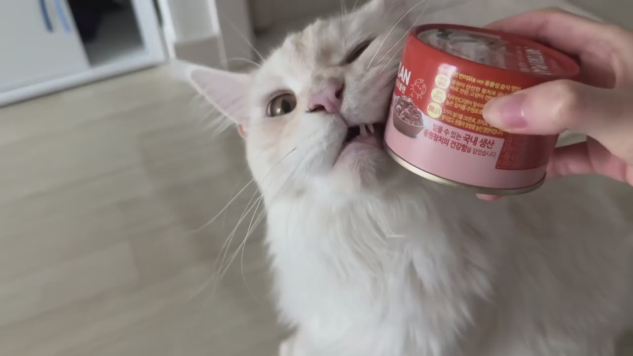 Load video: NUTRIPLAN BALANCED PREMIUM CAT FOOD TUNA &amp; SALMON 160G