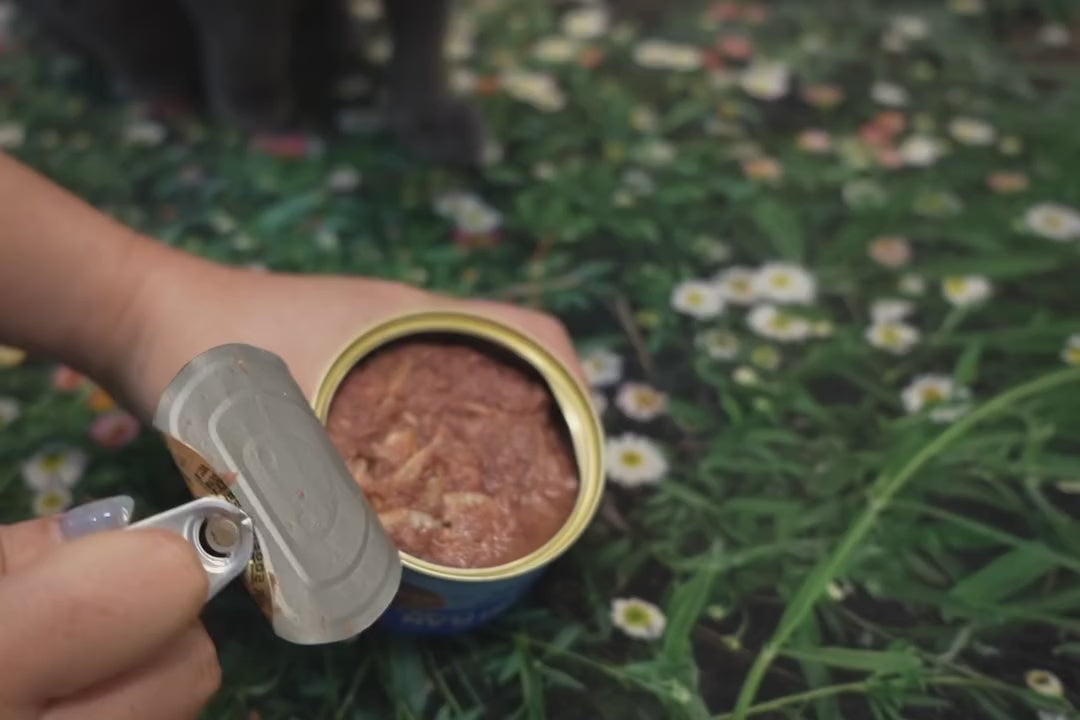 Load video: Nutriplan Cat Food 160g Tester Bundle