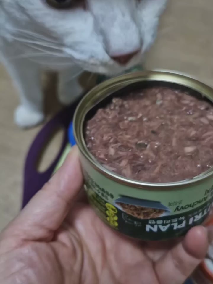 Load video: Nutriplan Cat Food 160g Tester Bundle