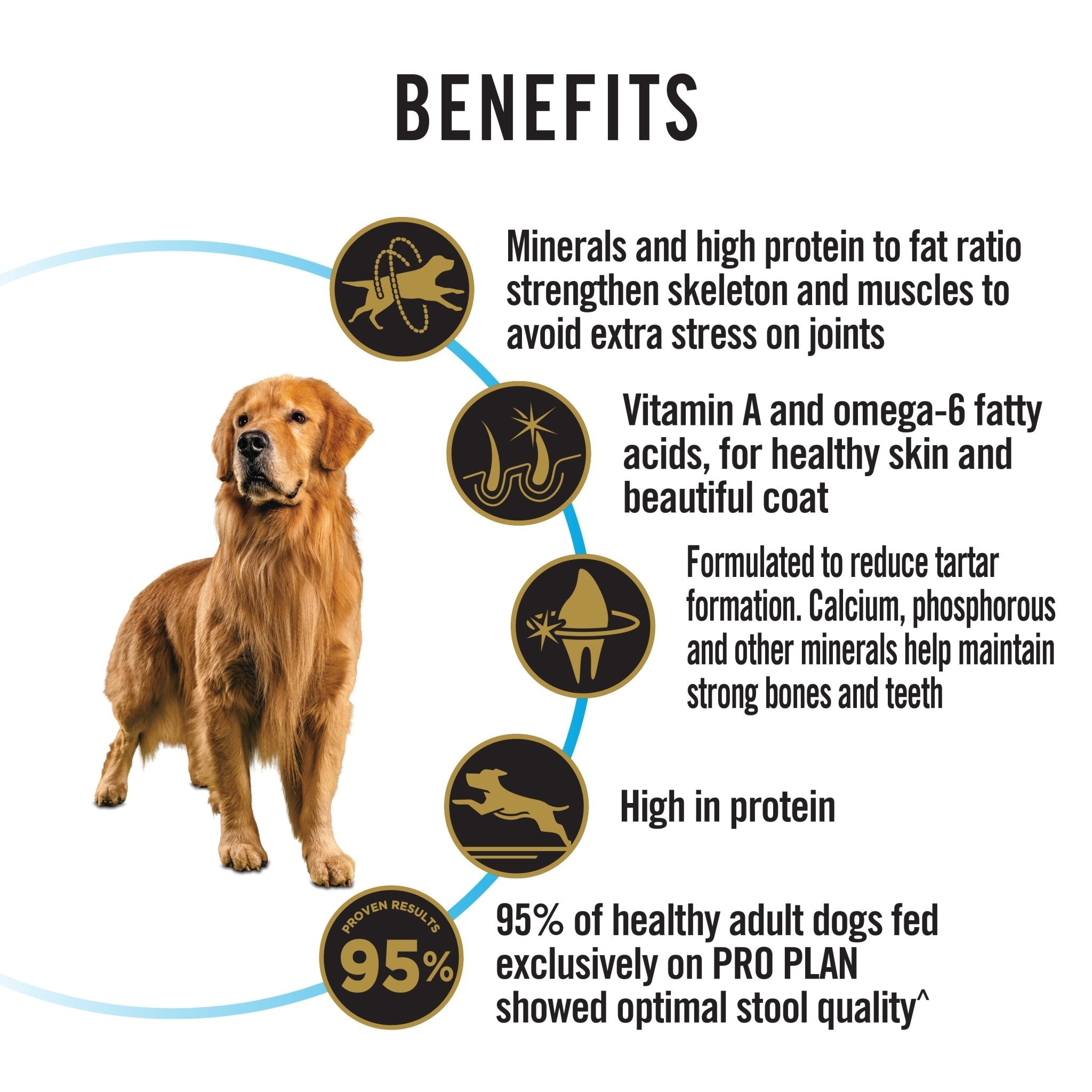 Pro Plan Adult Dog Chicken - Large 15kgDogsSuperpets Trading