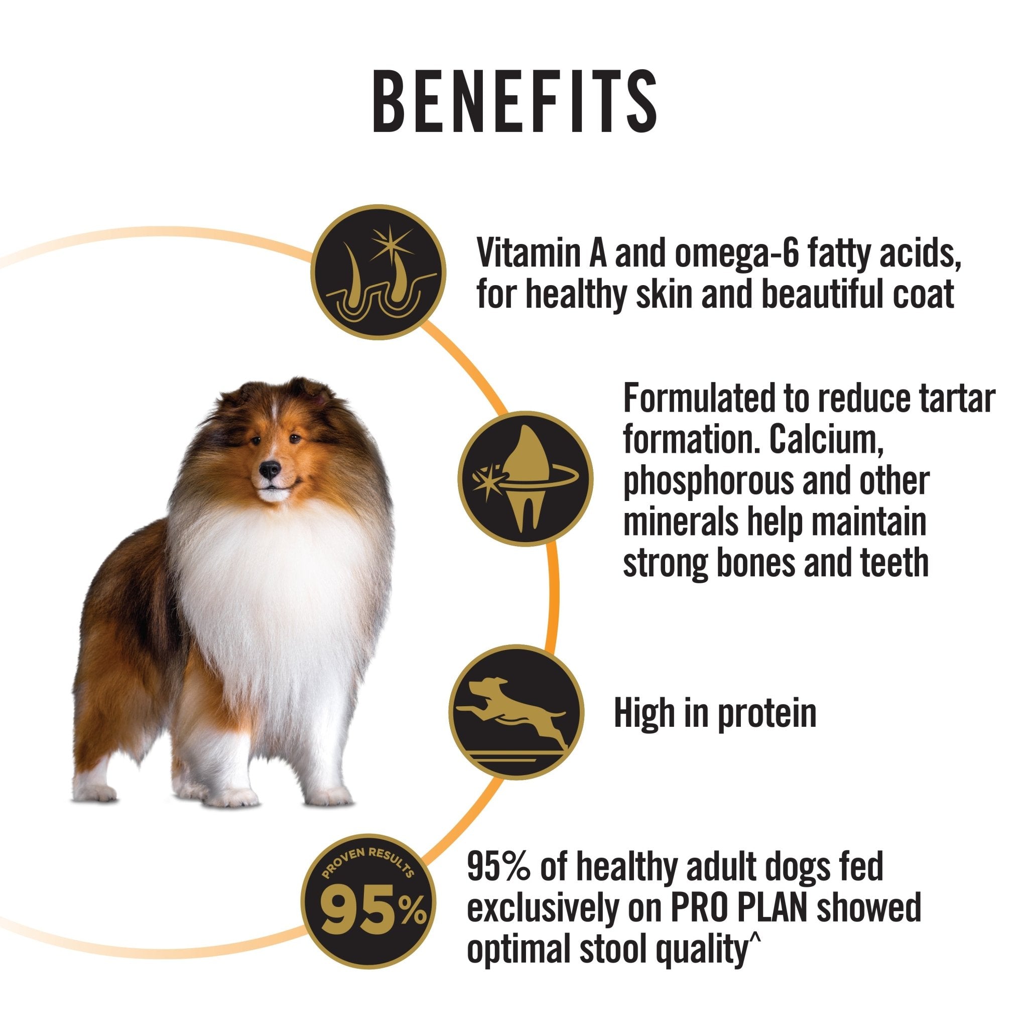 Pro Plan Adult Dog Chicken - MediumDogsSuperpets Trading
