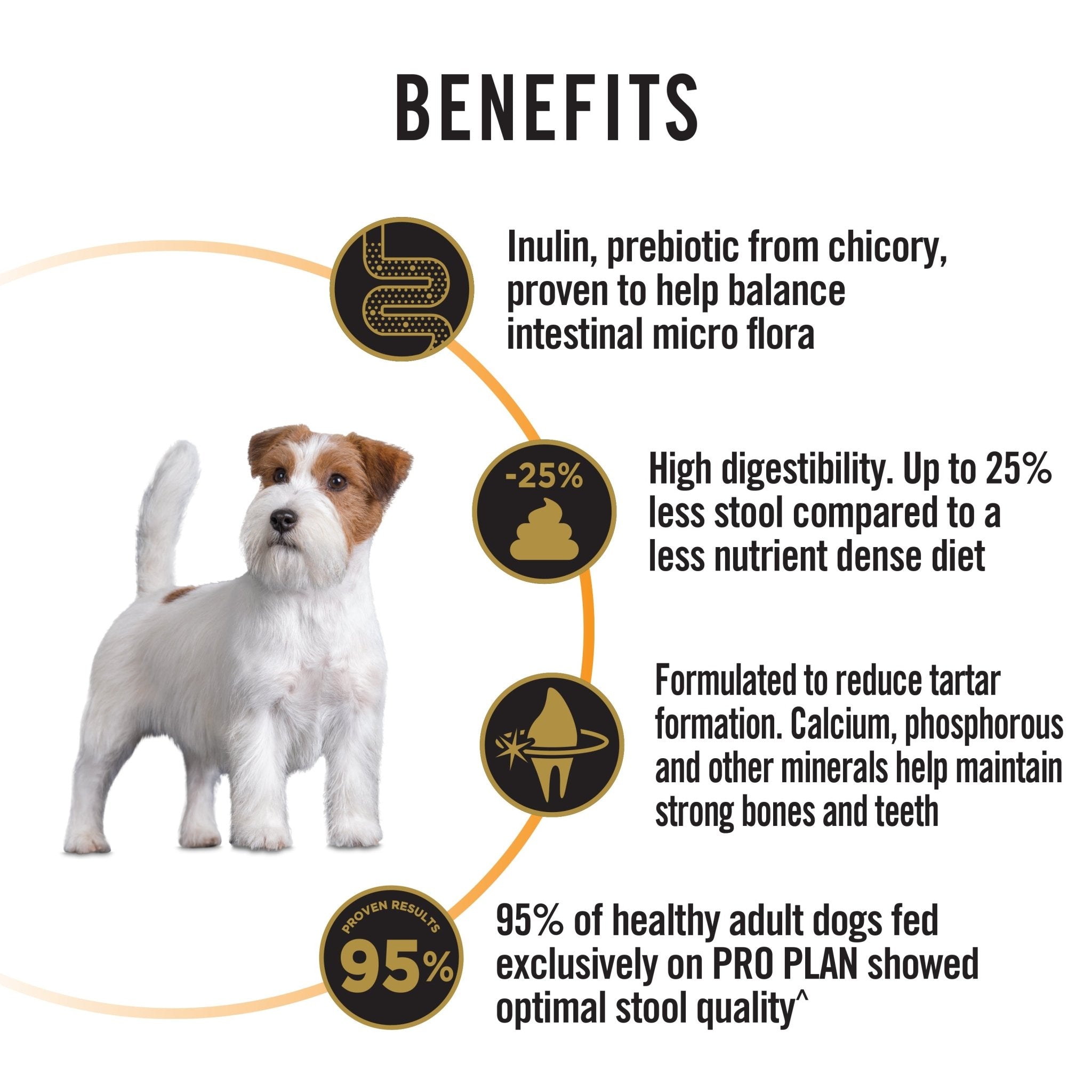 Pro Plan Adult Dog Chicken - Small & ToyDogsSuperpets Trading