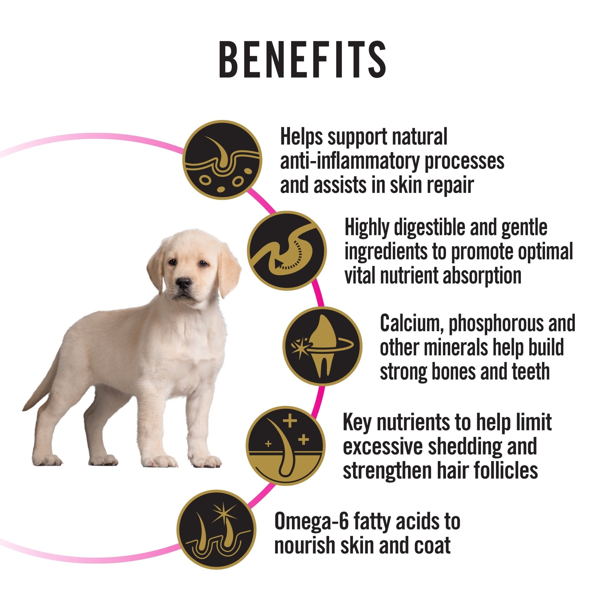Pro Plan ALL SIZE Puppy Sensitive Skin & Stomach (Salmon)DogsSuperpets Trading