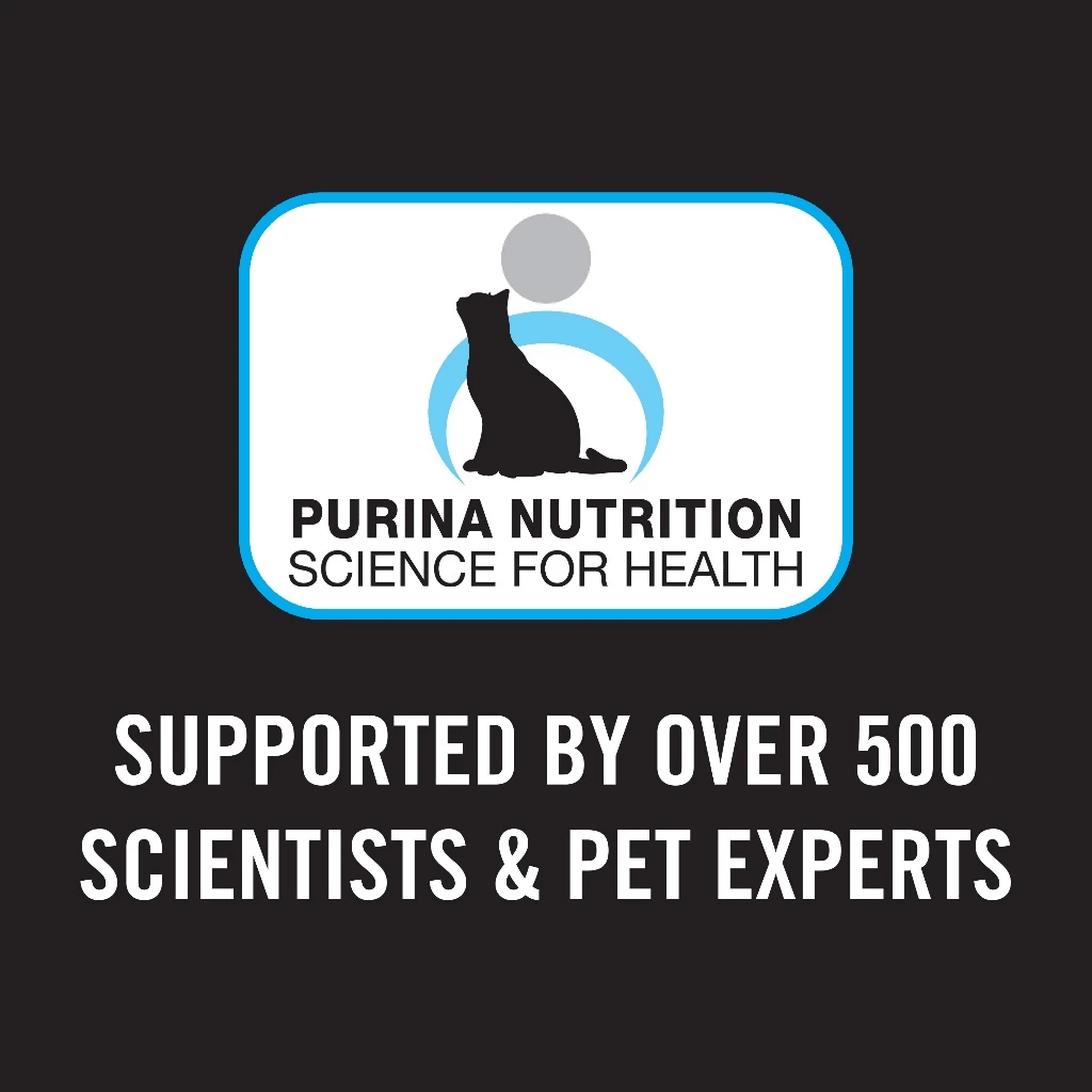 PRO PLAN Cat Food Kitten - Chicken FormulaSuperpets Trading