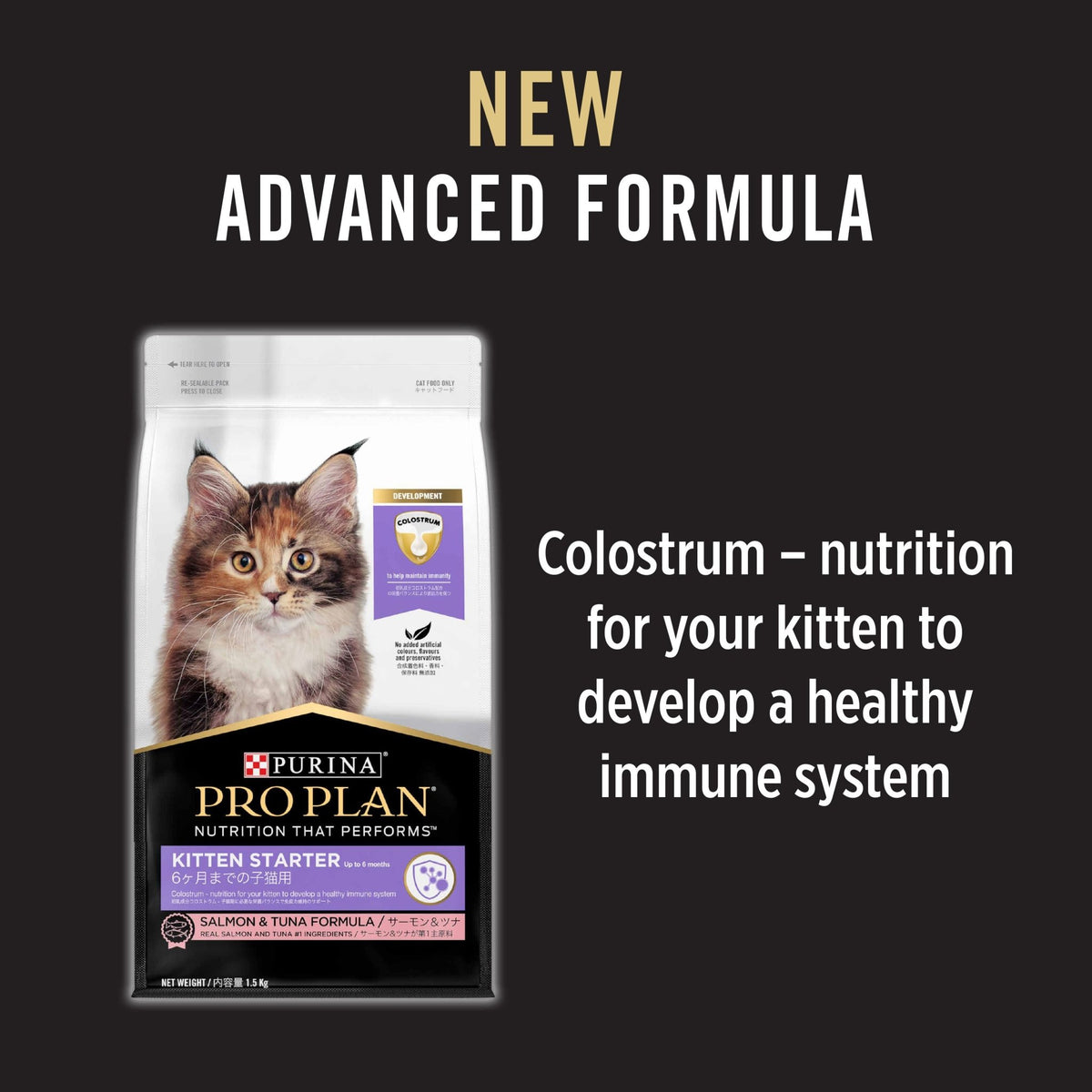 PRO PLAN Cat Food - Kitten StarterCatsSuperpets Trading