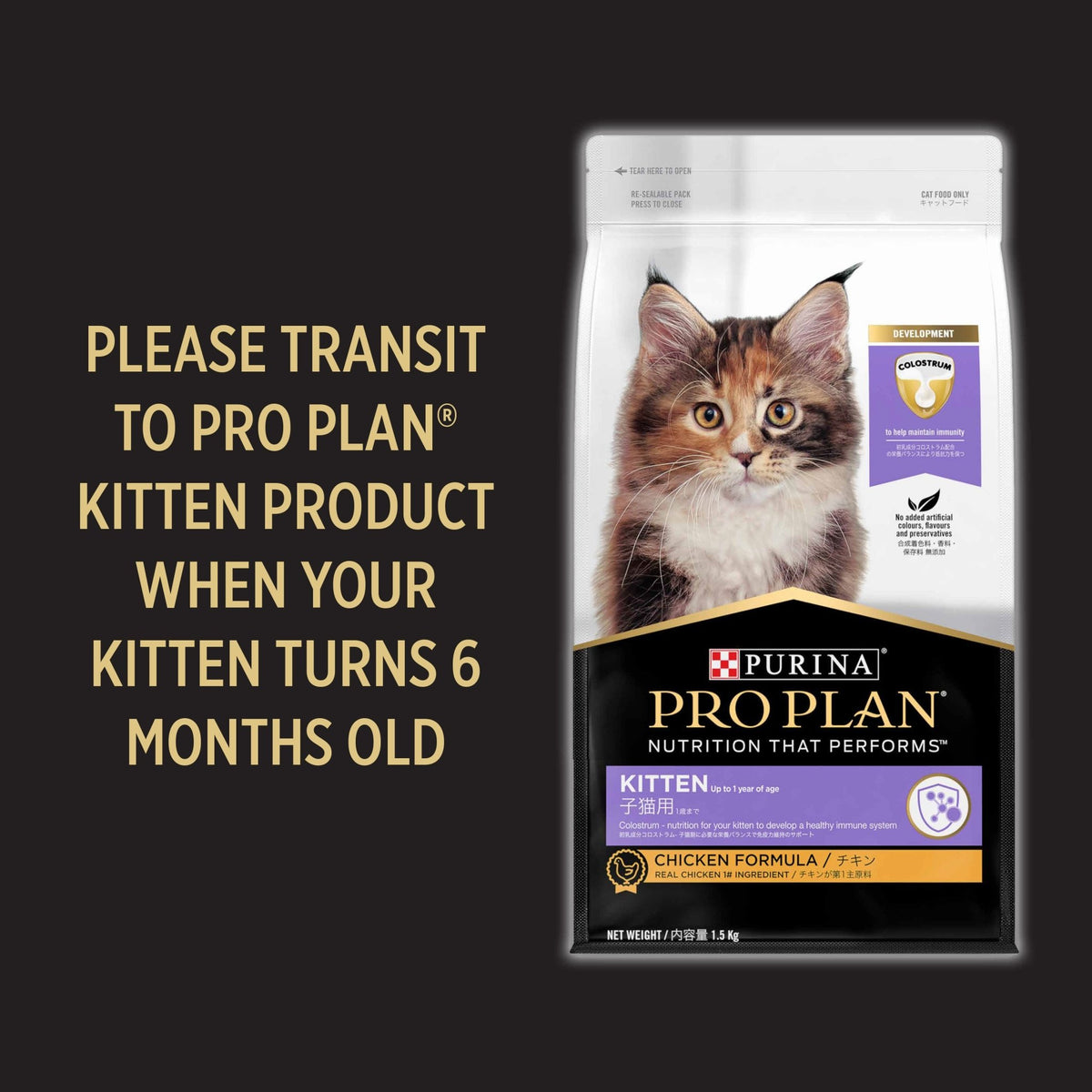 PRO PLAN Cat Food - Kitten StarterCatsSuperpets Trading