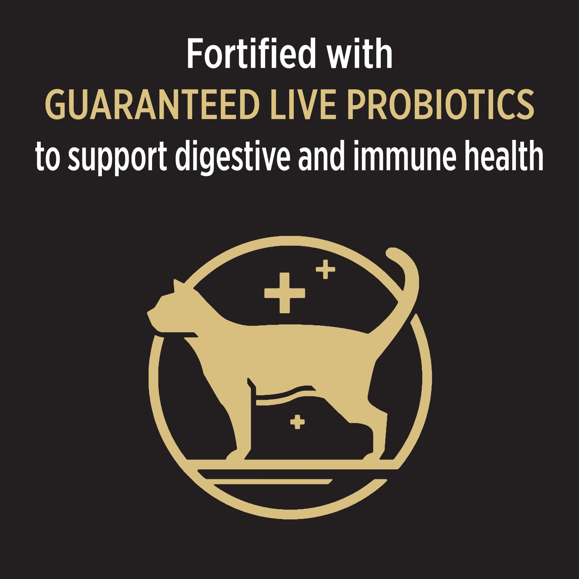 PRO PLAN Cat Food Salmon Formula with ProbioticsSuperpets Trading