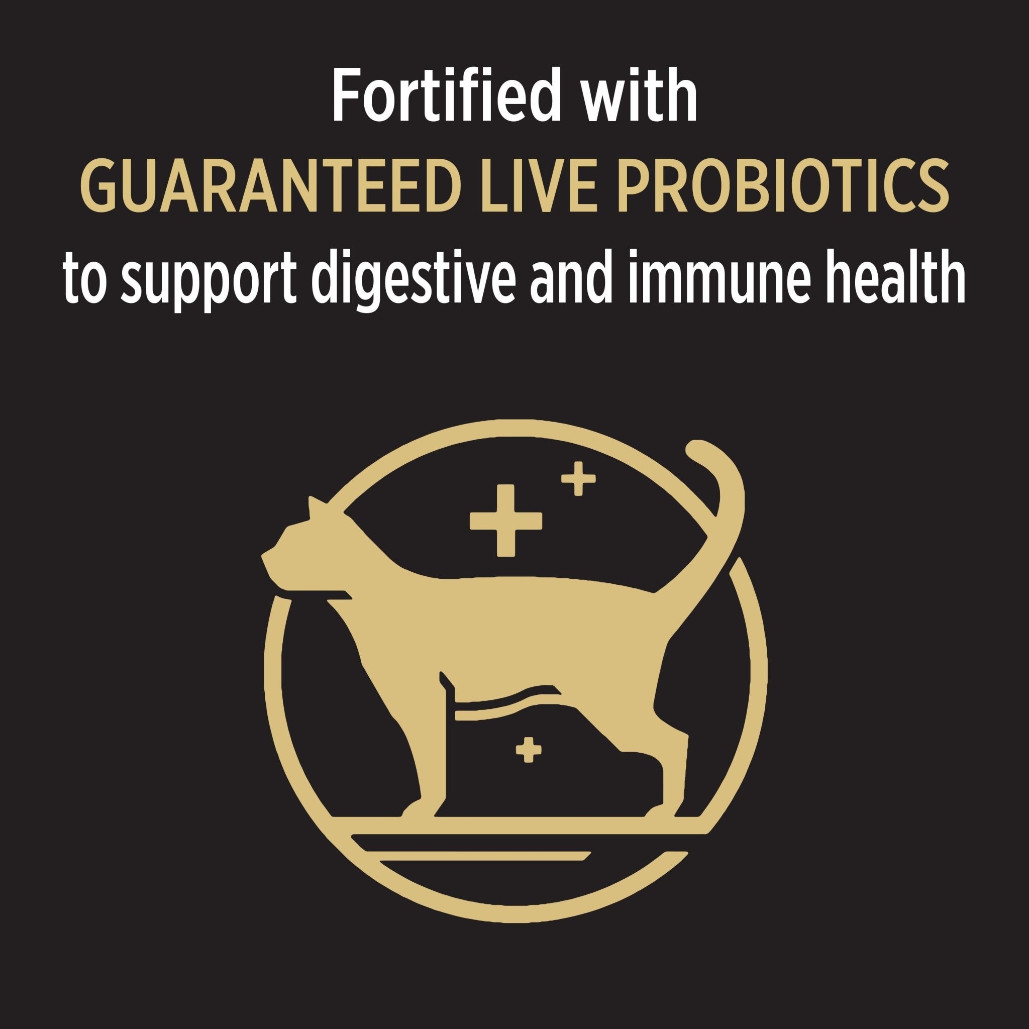 PRO PLAN Cat Food Salmon Formula with ProbioticsSuperpets Trading