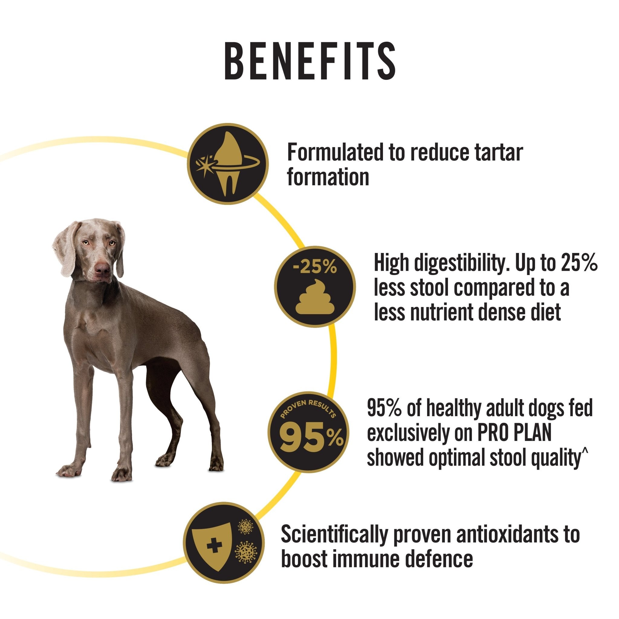 Pro Plan Dog Food Brightmind 7+ Senior (Chicken) 12kgDogsSuperpets Trading