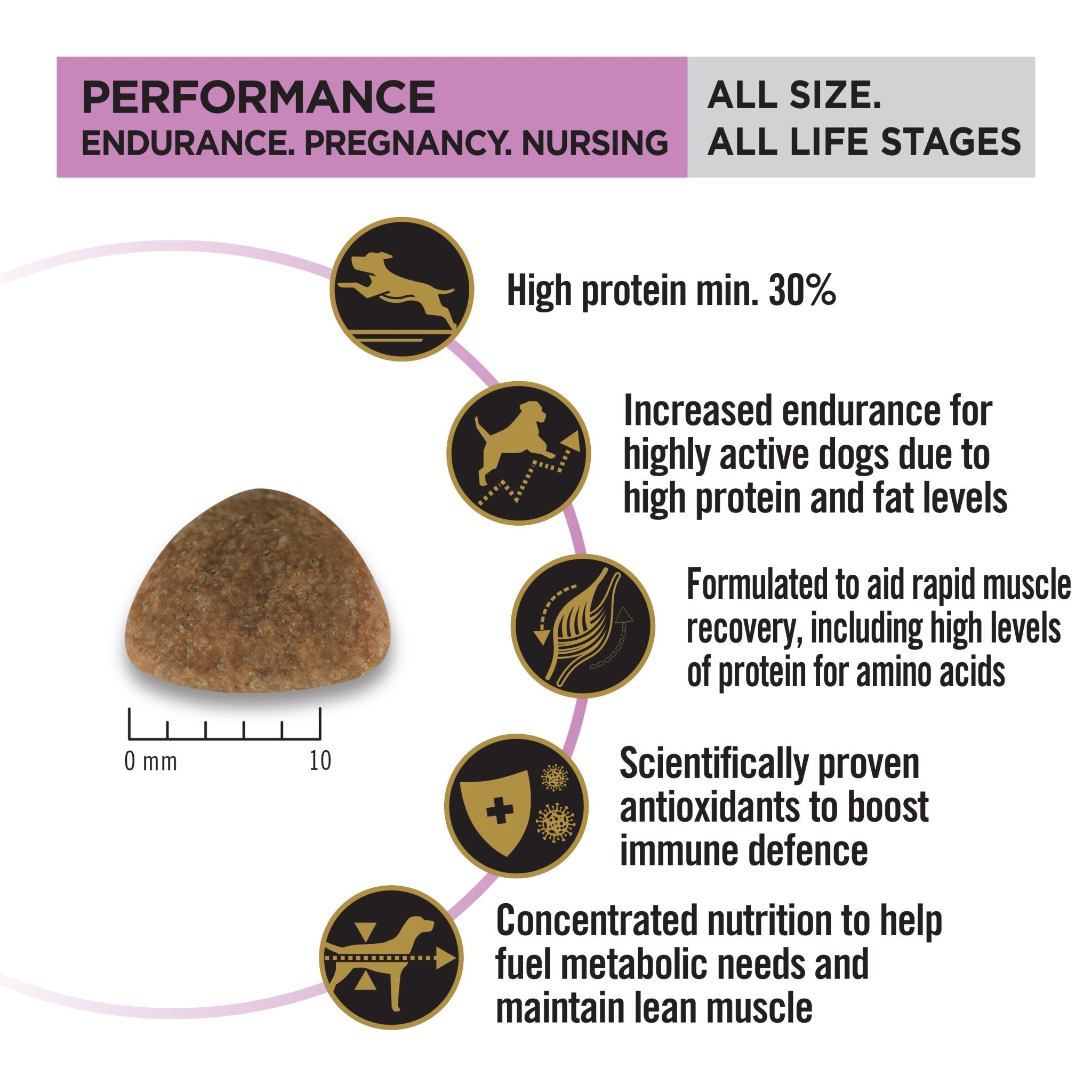 Pro Plan Dog Food Performance ( Chicken) 20kgDogsSuperpets Trading