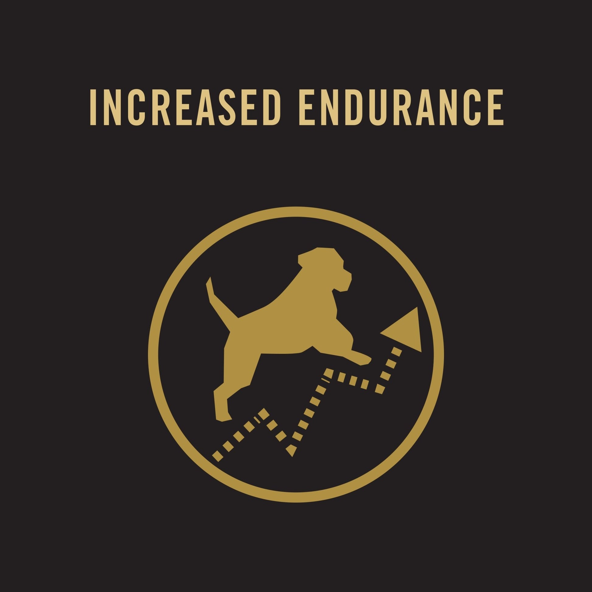 Pro Plan Dog Food Performance ( Chicken) 20kgDogsSuperpets Trading